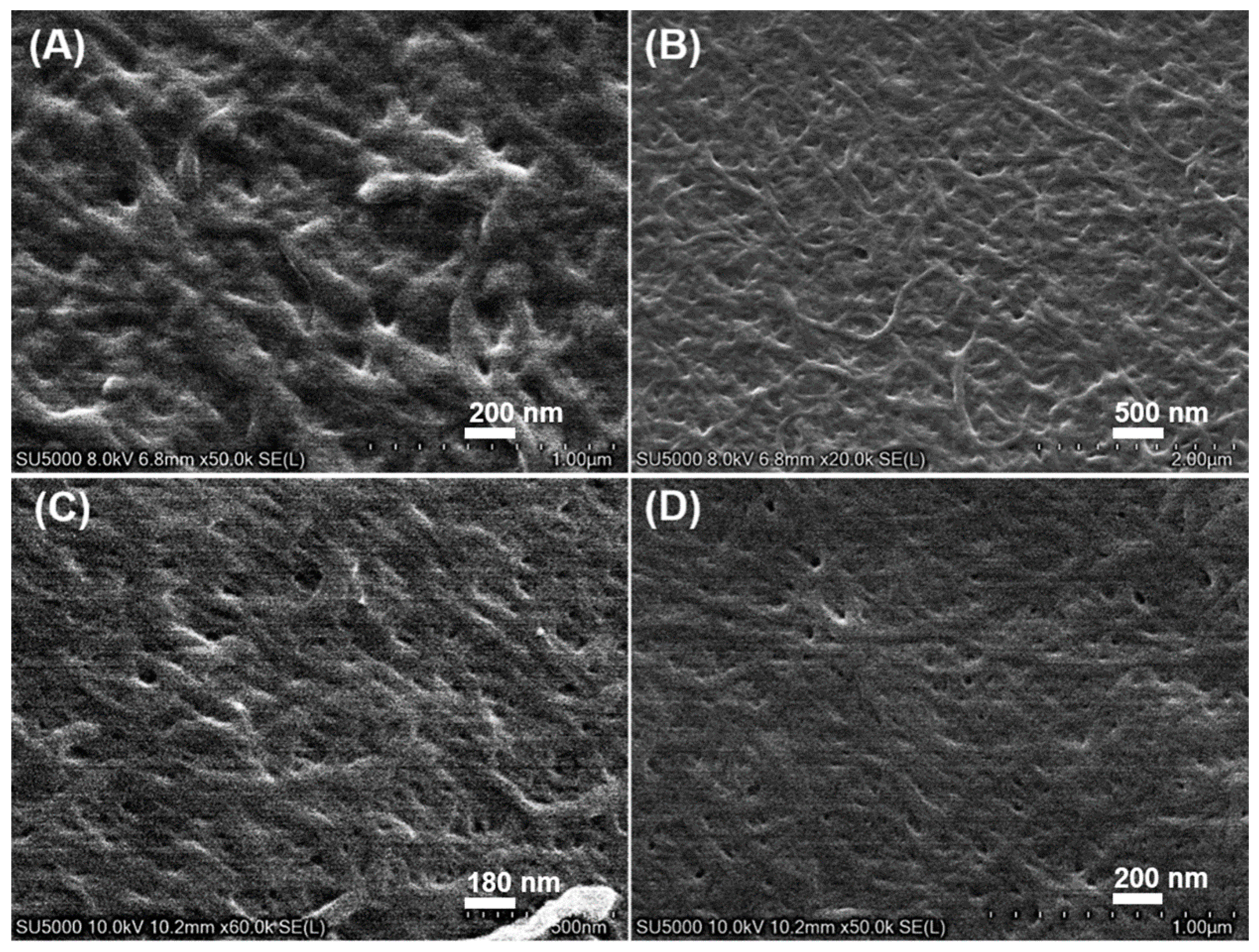 Pharmaceutics 15 02161 g002