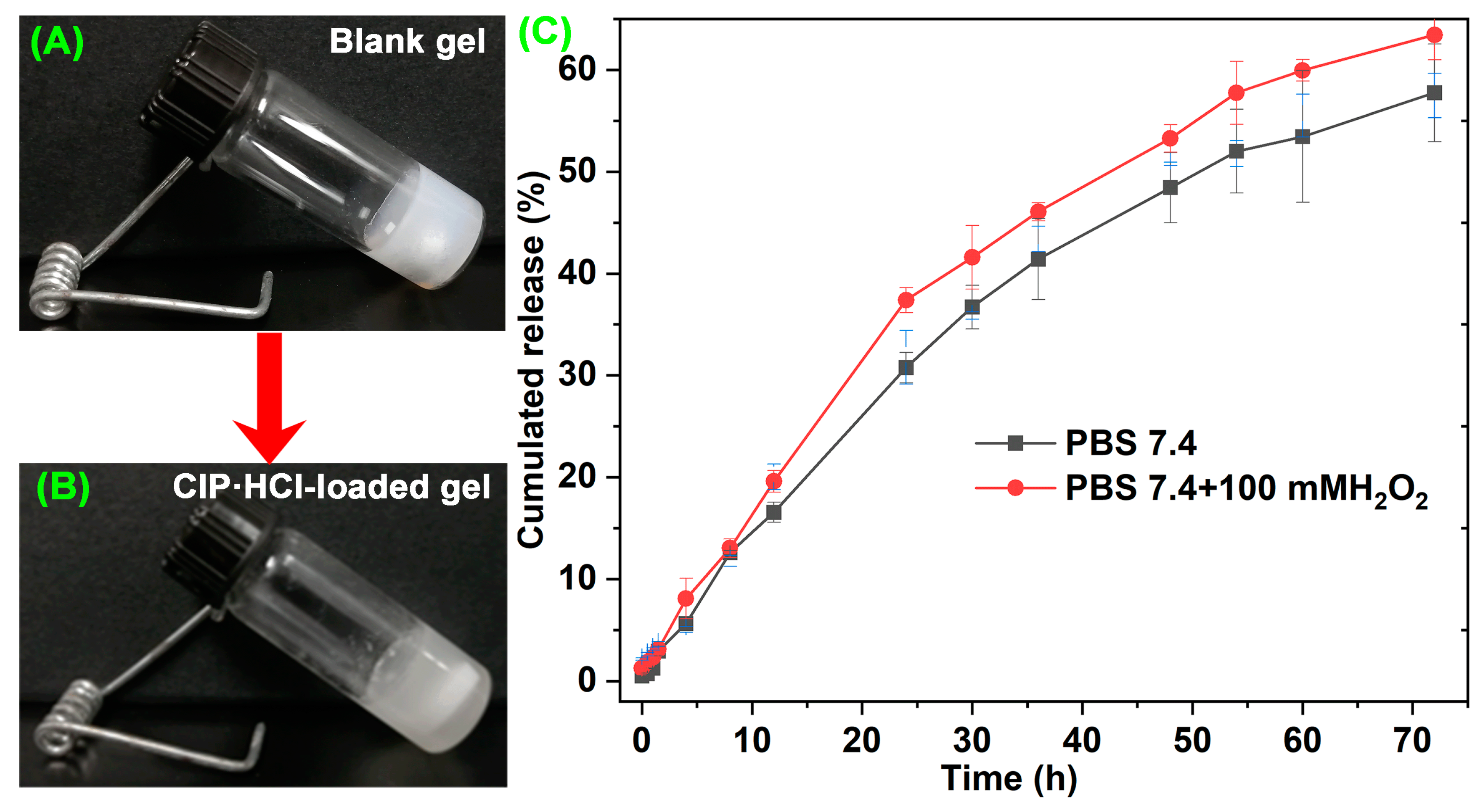 Pharmaceutics 15 02161 g007