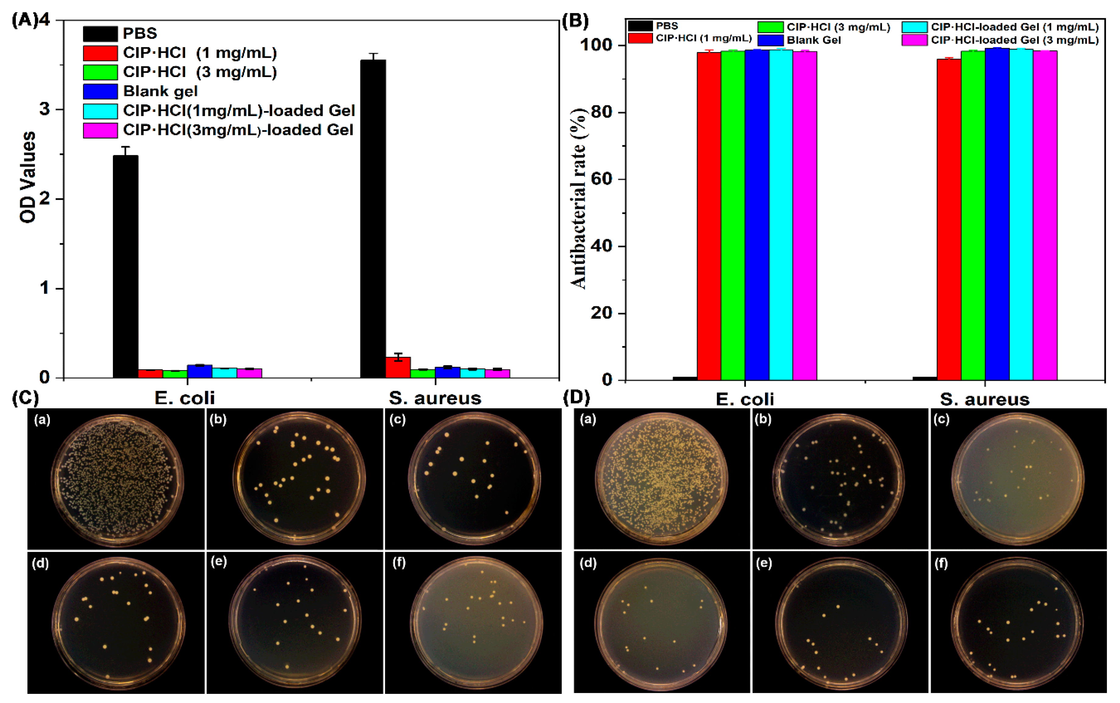Pharmaceutics 15 02161 g009