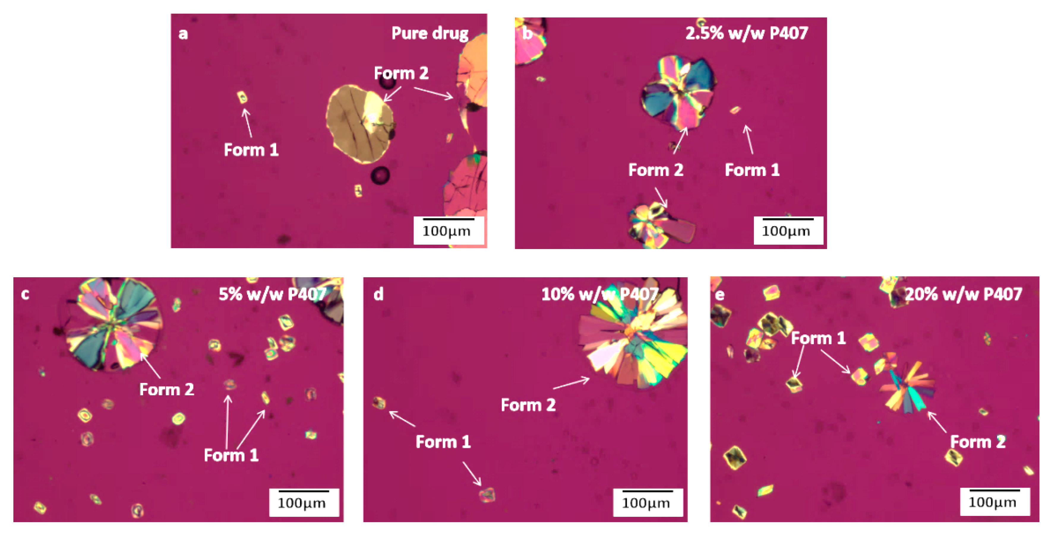 Pharmaceutics 15 02164 g004