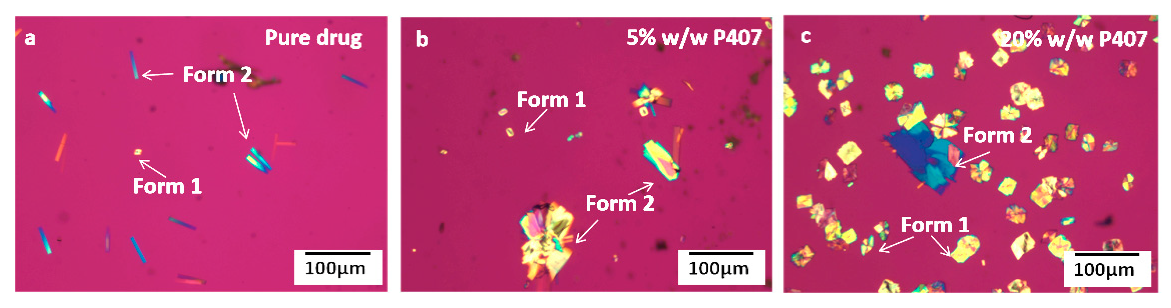 Pharmaceutics 15 02164 g006
