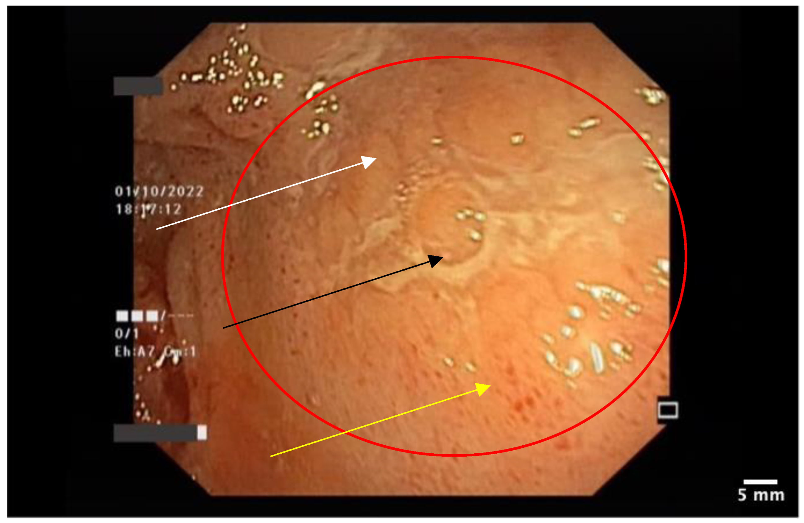Pharmaceutics 15 02171 g003