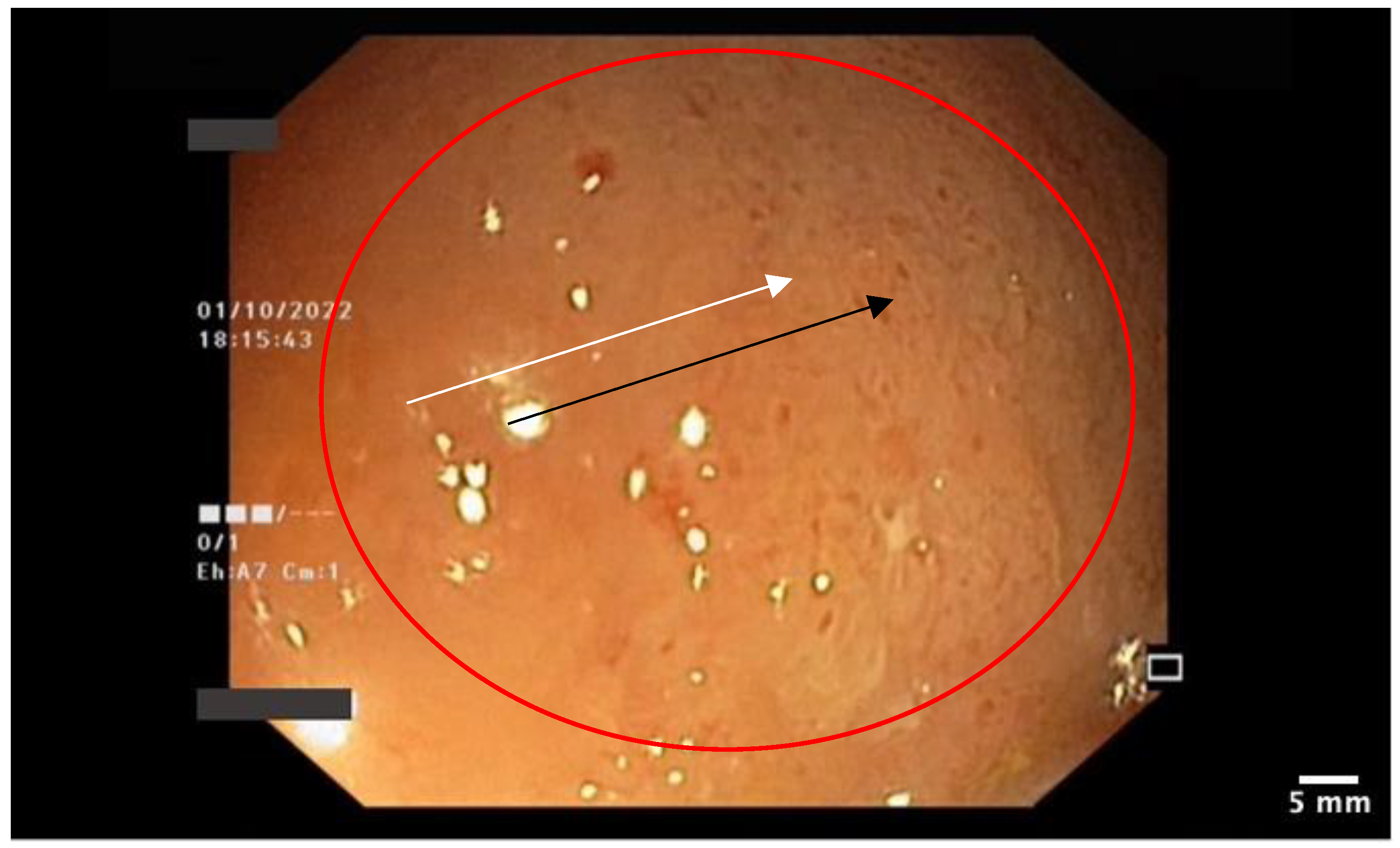 Pharmaceutics 15 02171 g004