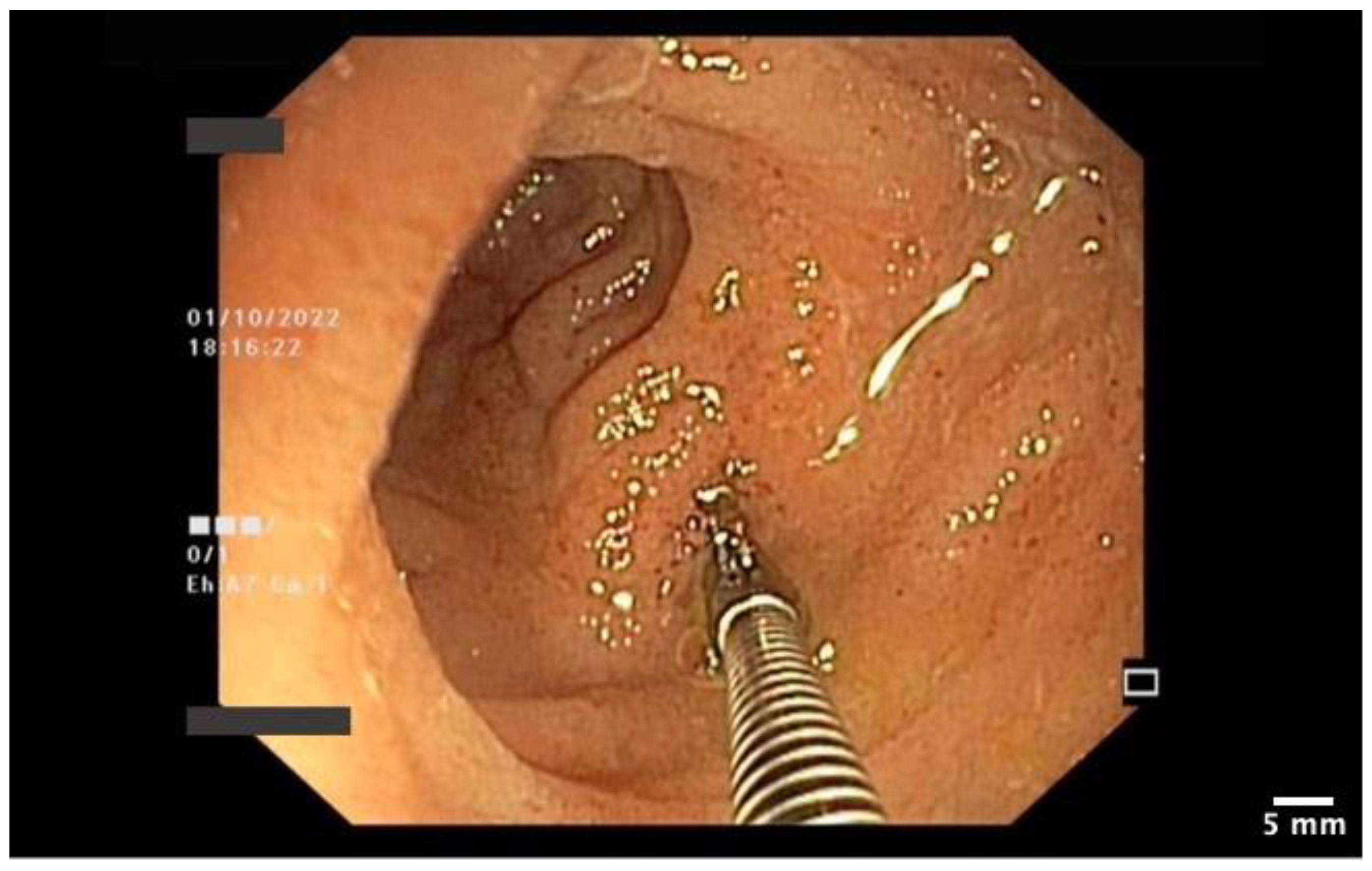 Pharmaceutics 15 02171 g006