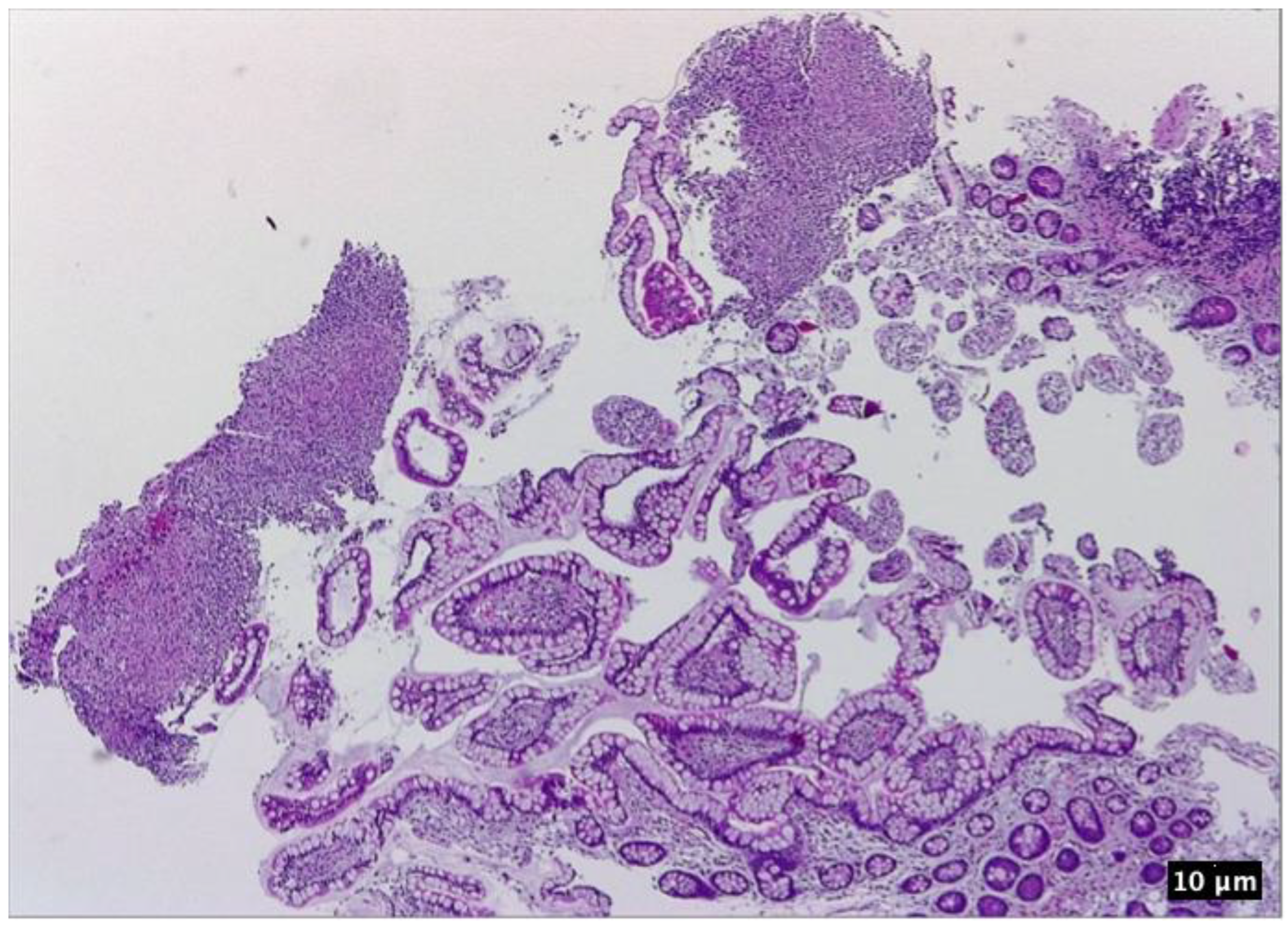 Pharmaceutics 15 02171 g007