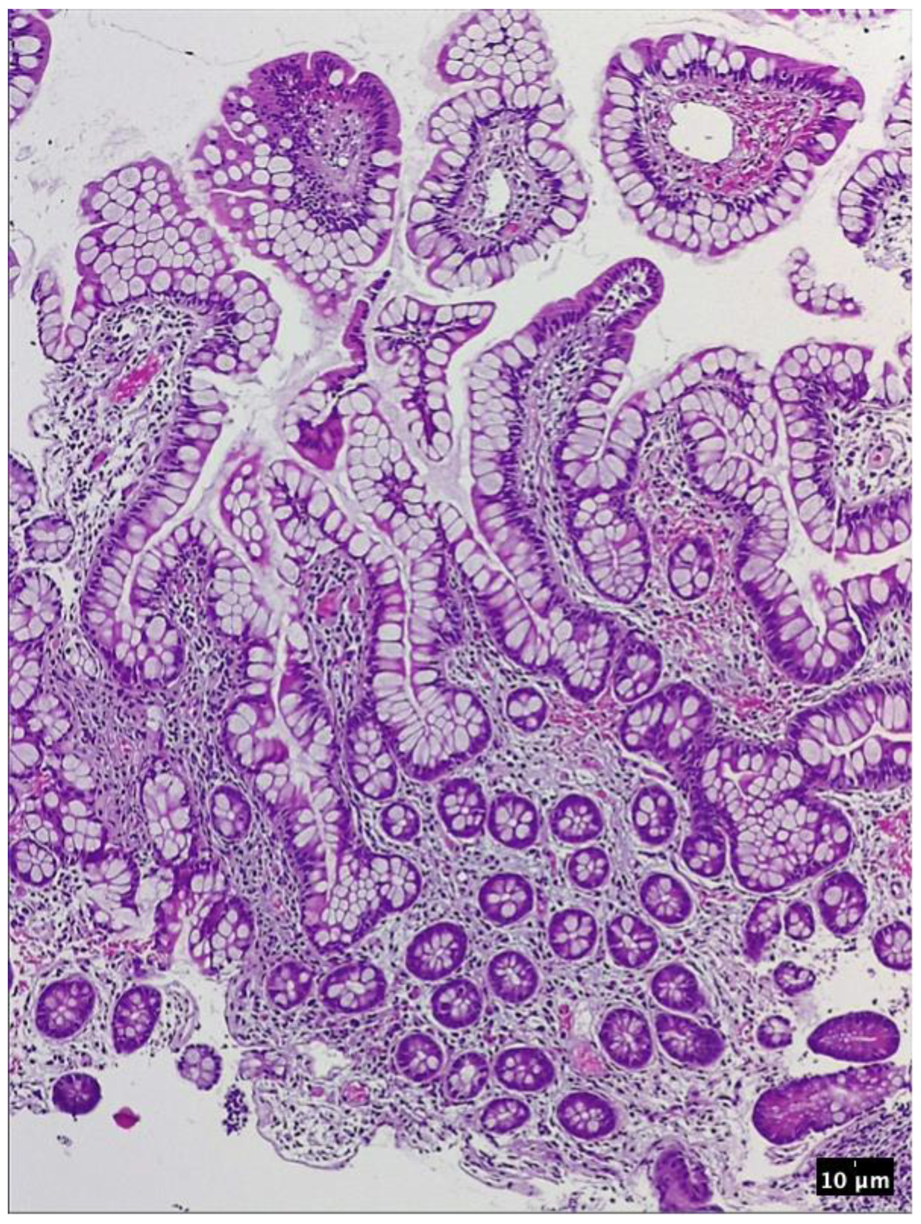 Pharmaceutics 15 02171 g008