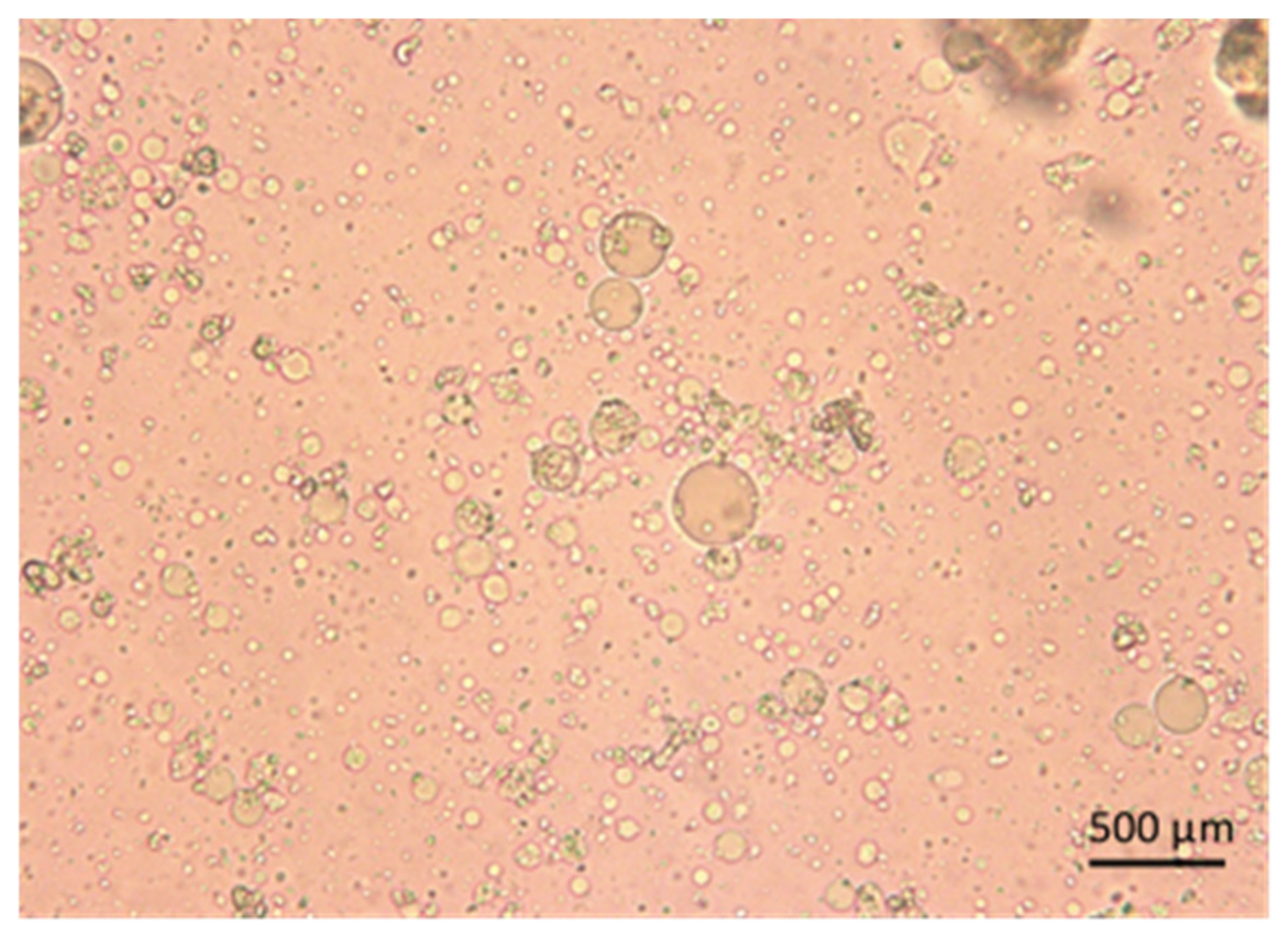 Pharmaceutics 15 02178 g001