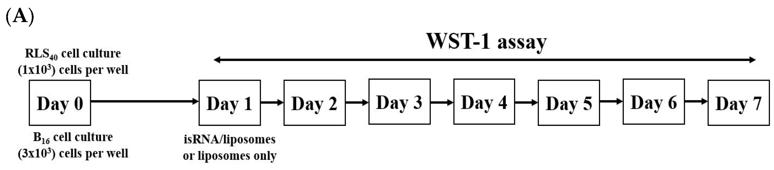 Pharmaceutics 15 02184 g004a