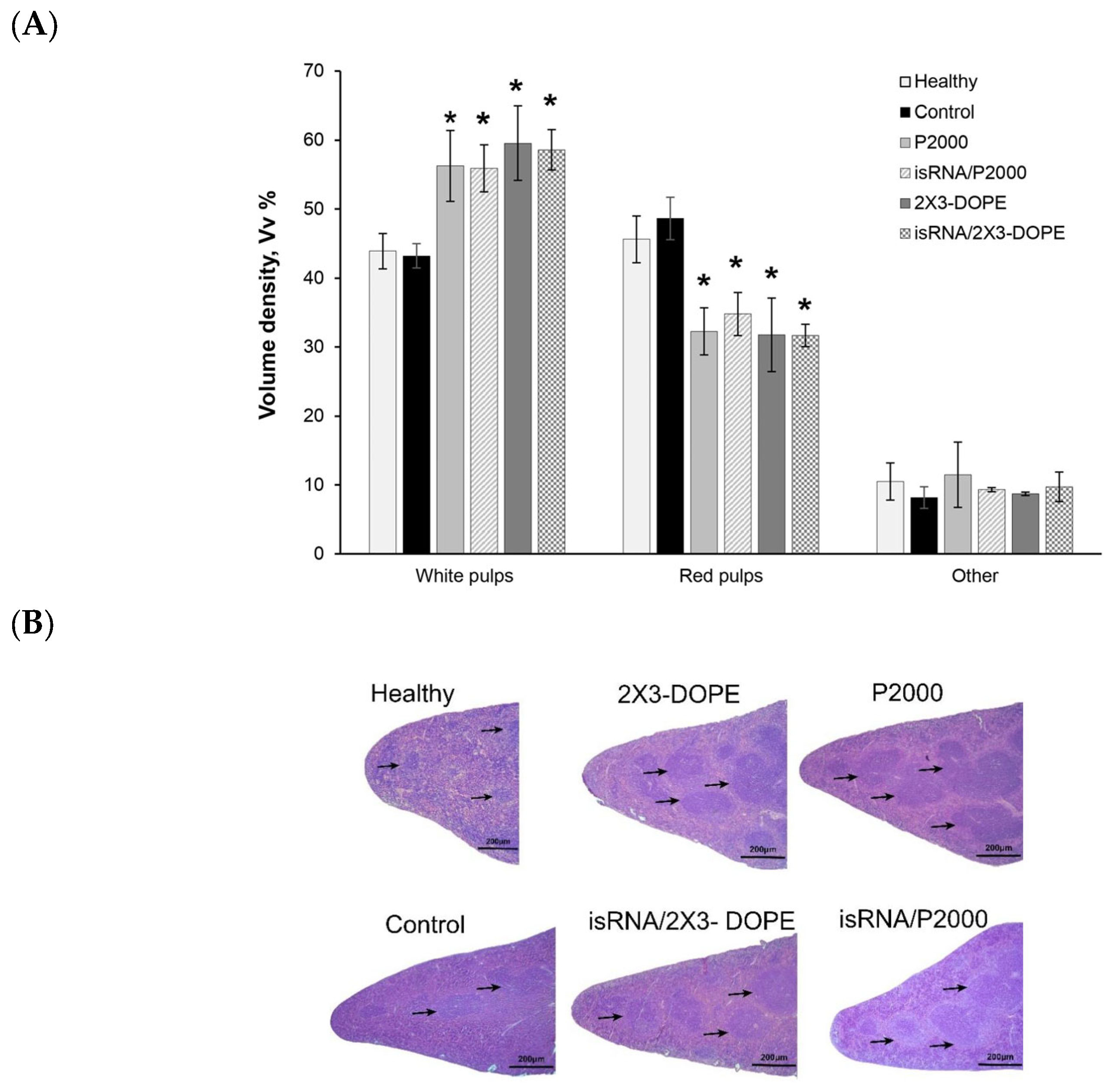 Pharmaceutics 15 02184 g009