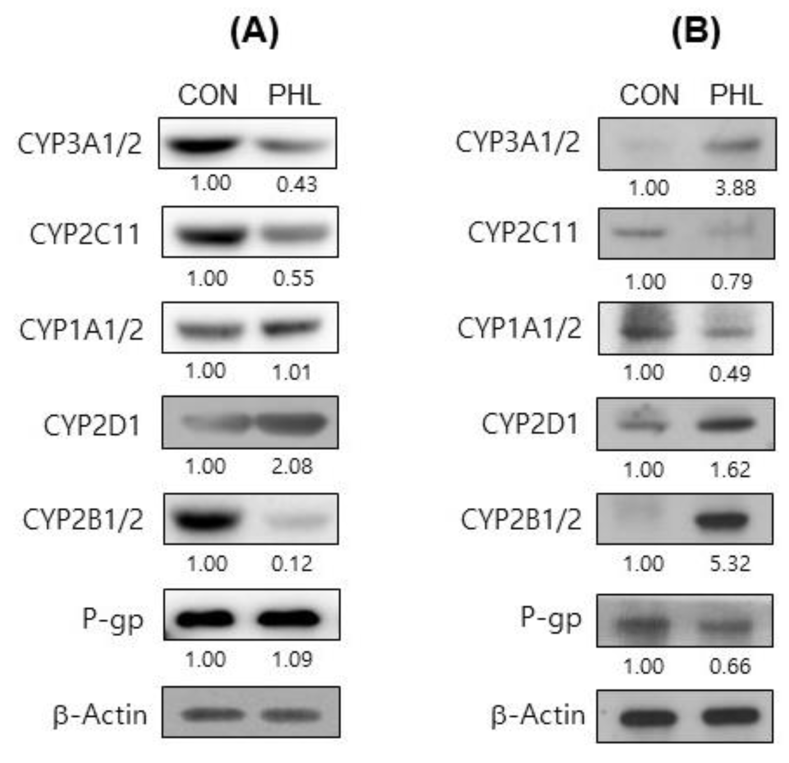 Pharmaceutics 15 02195 g006