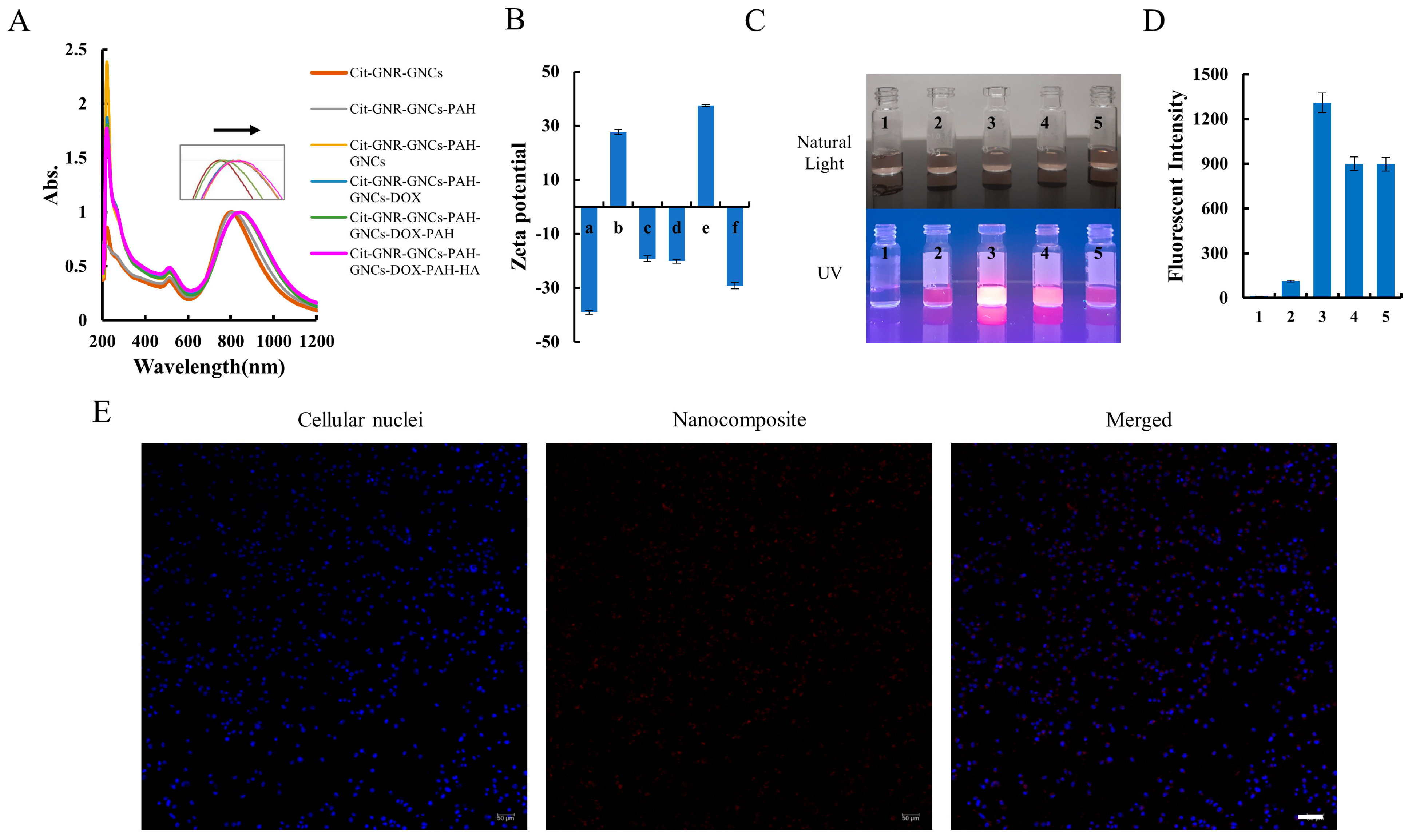 Pharmaceutics 15 02198 g004