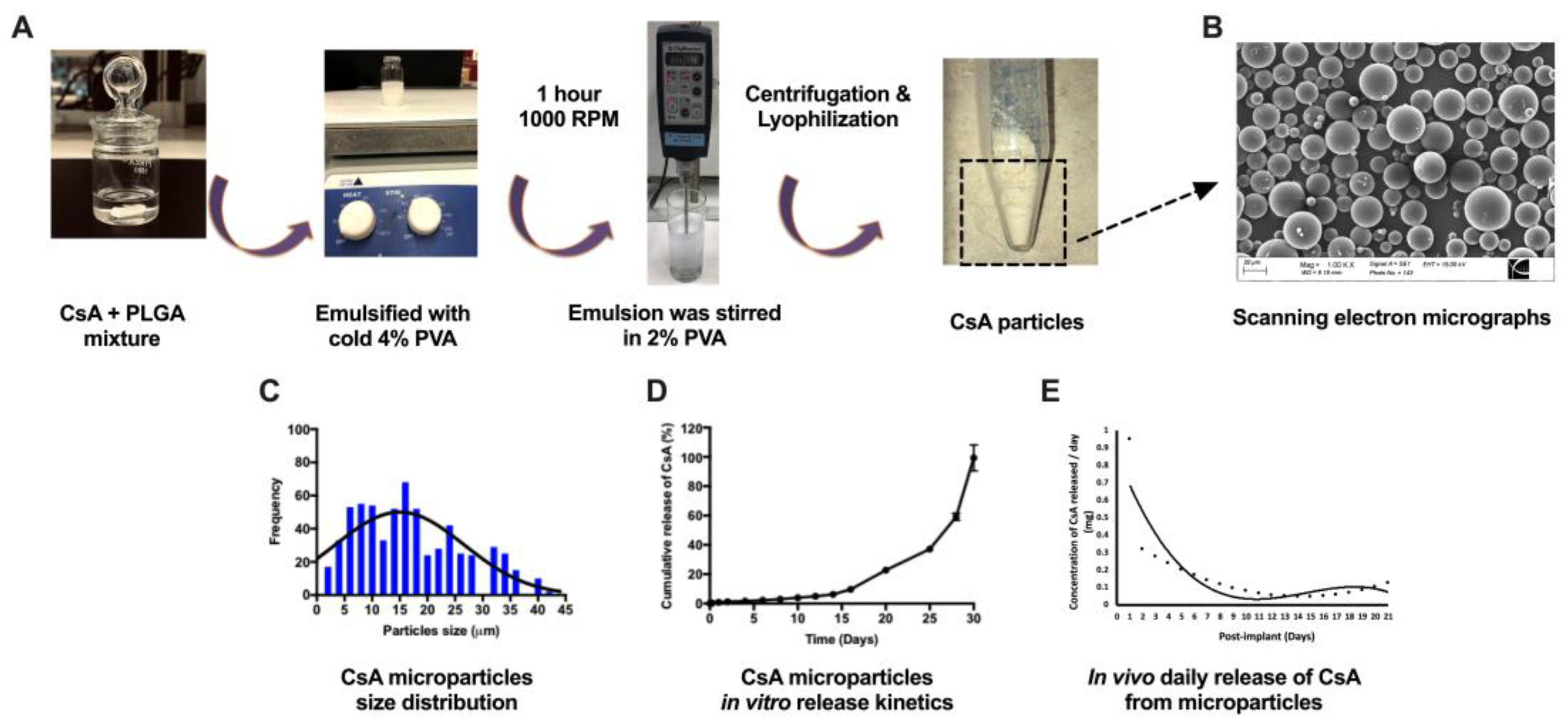 Pharmaceutics 15 02201 g001