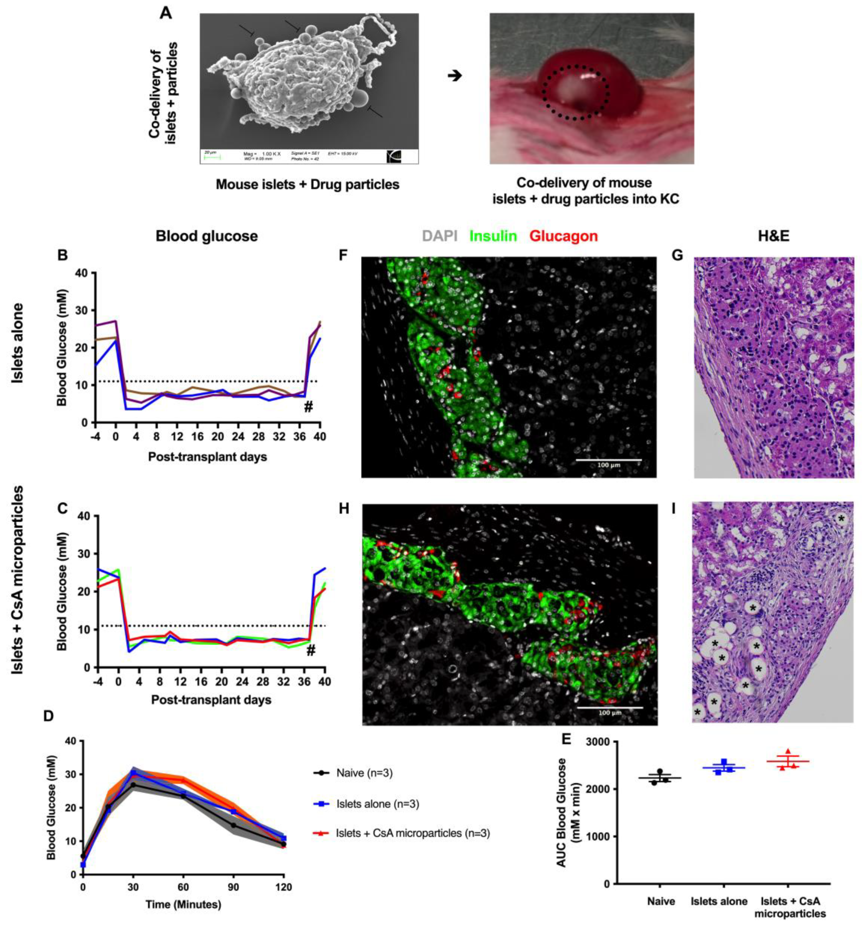 Pharmaceutics 15 02201 g002