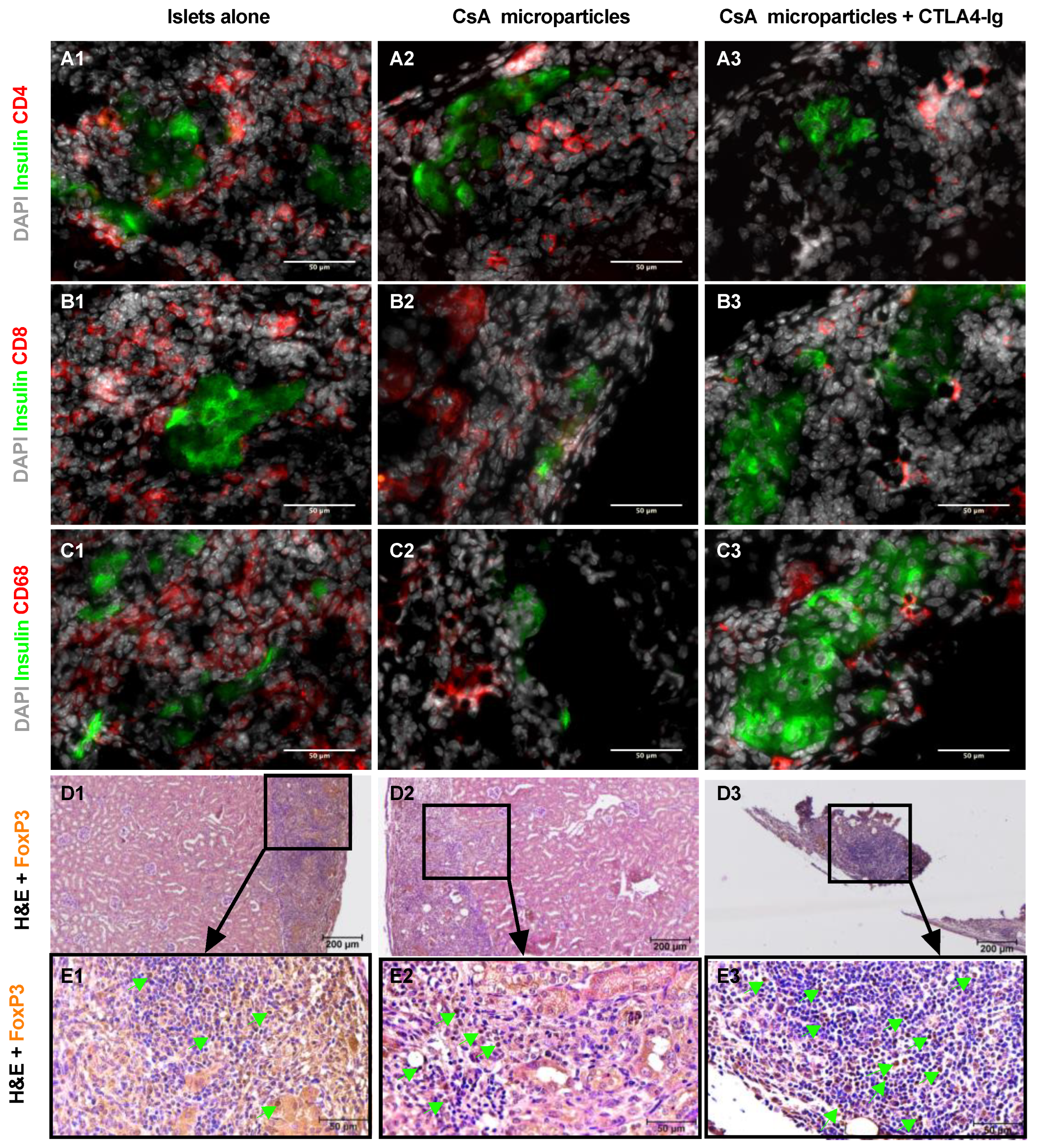Pharmaceutics 15 02201 g004