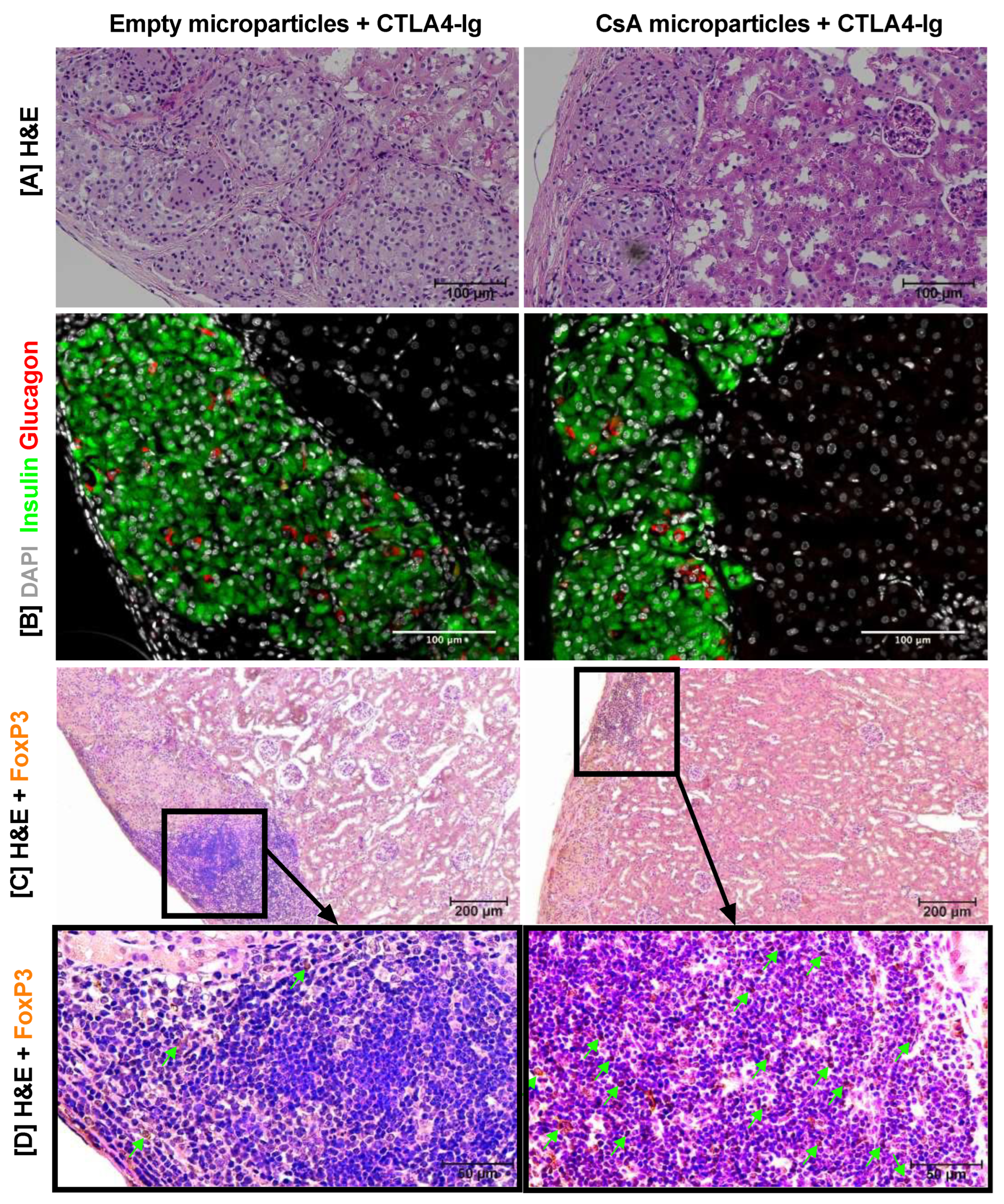 Pharmaceutics 15 02201 g007
