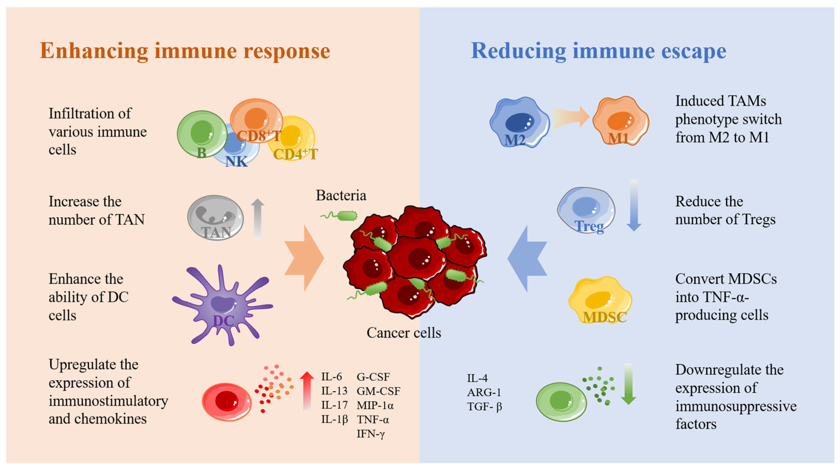 Pharmaceutics 15 02214 g002