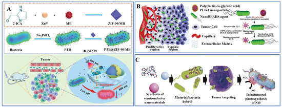 Pharmaceutics 15 02214 g004