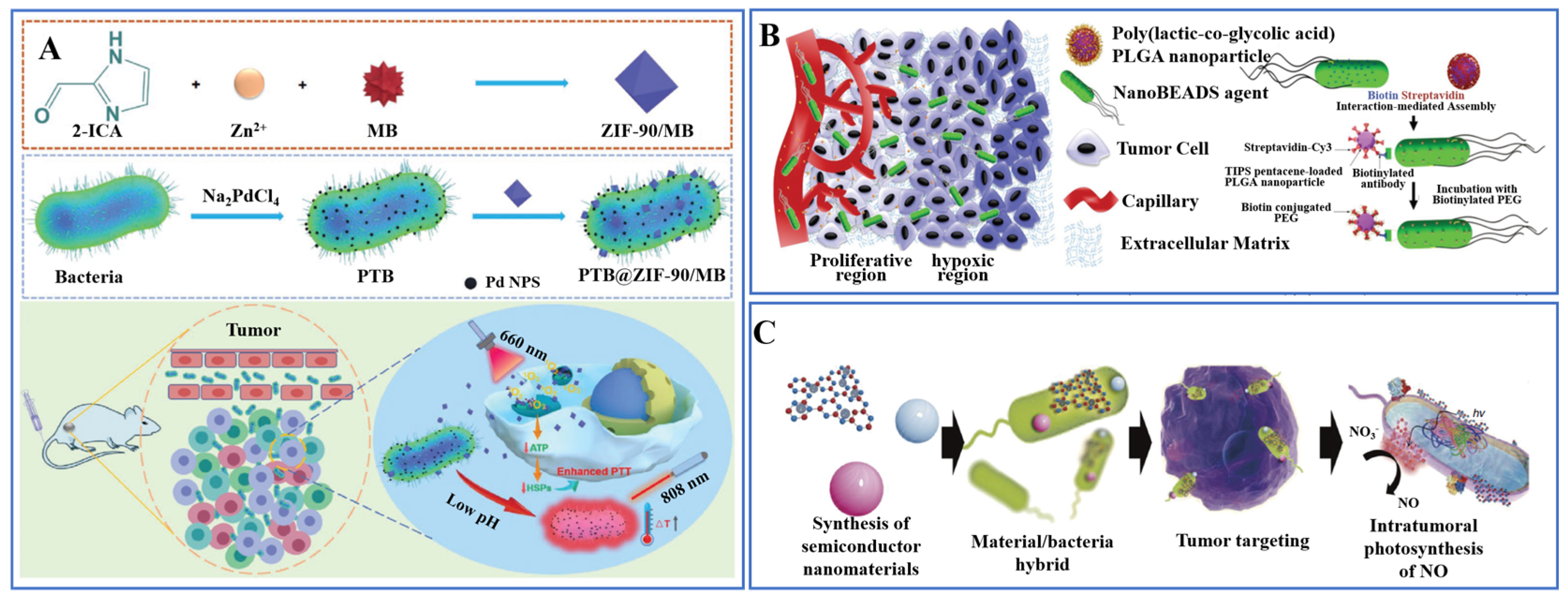Pharmaceutics 15 02214 g004