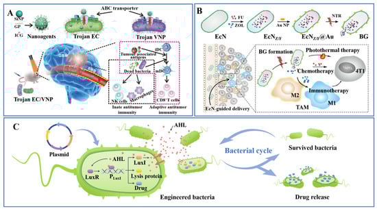 Pharmaceutics 15 02214 g005