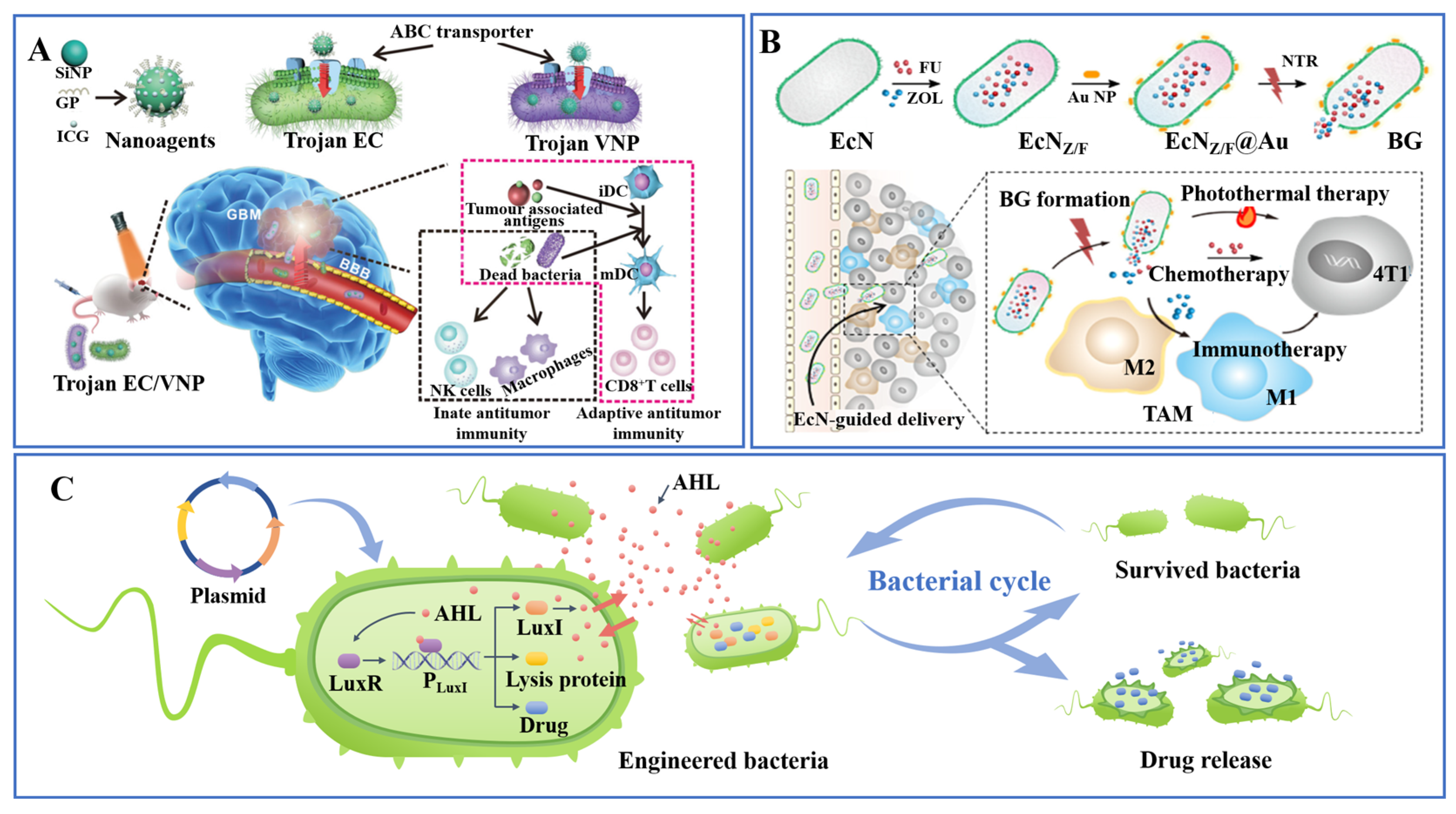 Pharmaceutics 15 02214 g005
