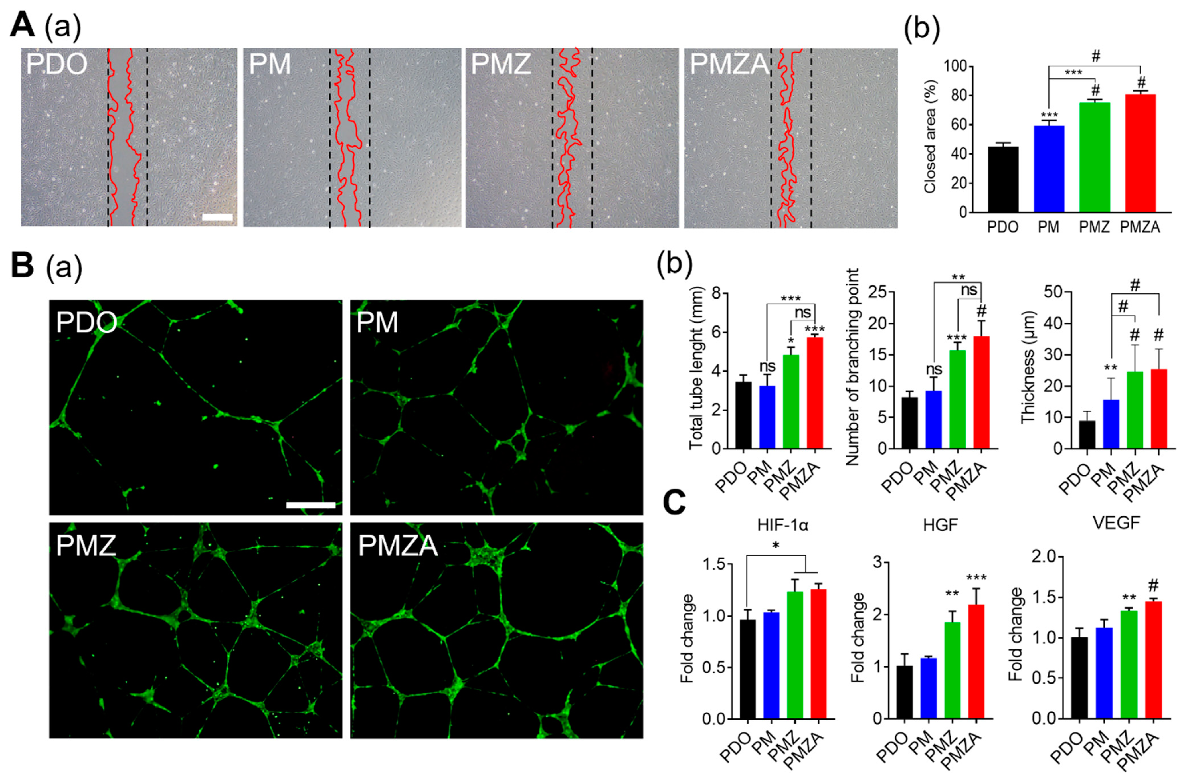 Pharmaceutics 15 02220 g004