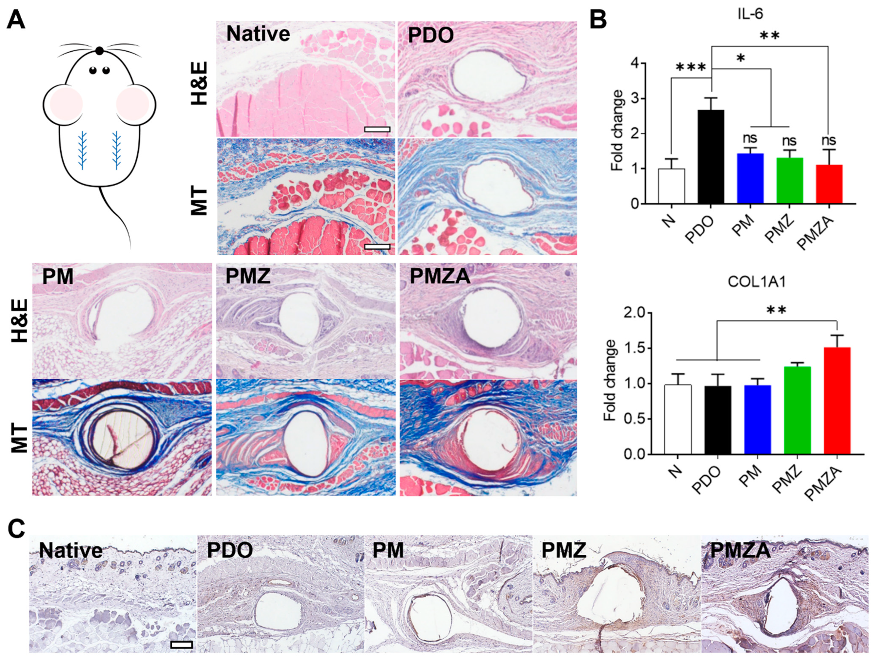 Pharmaceutics 15 02220 g005