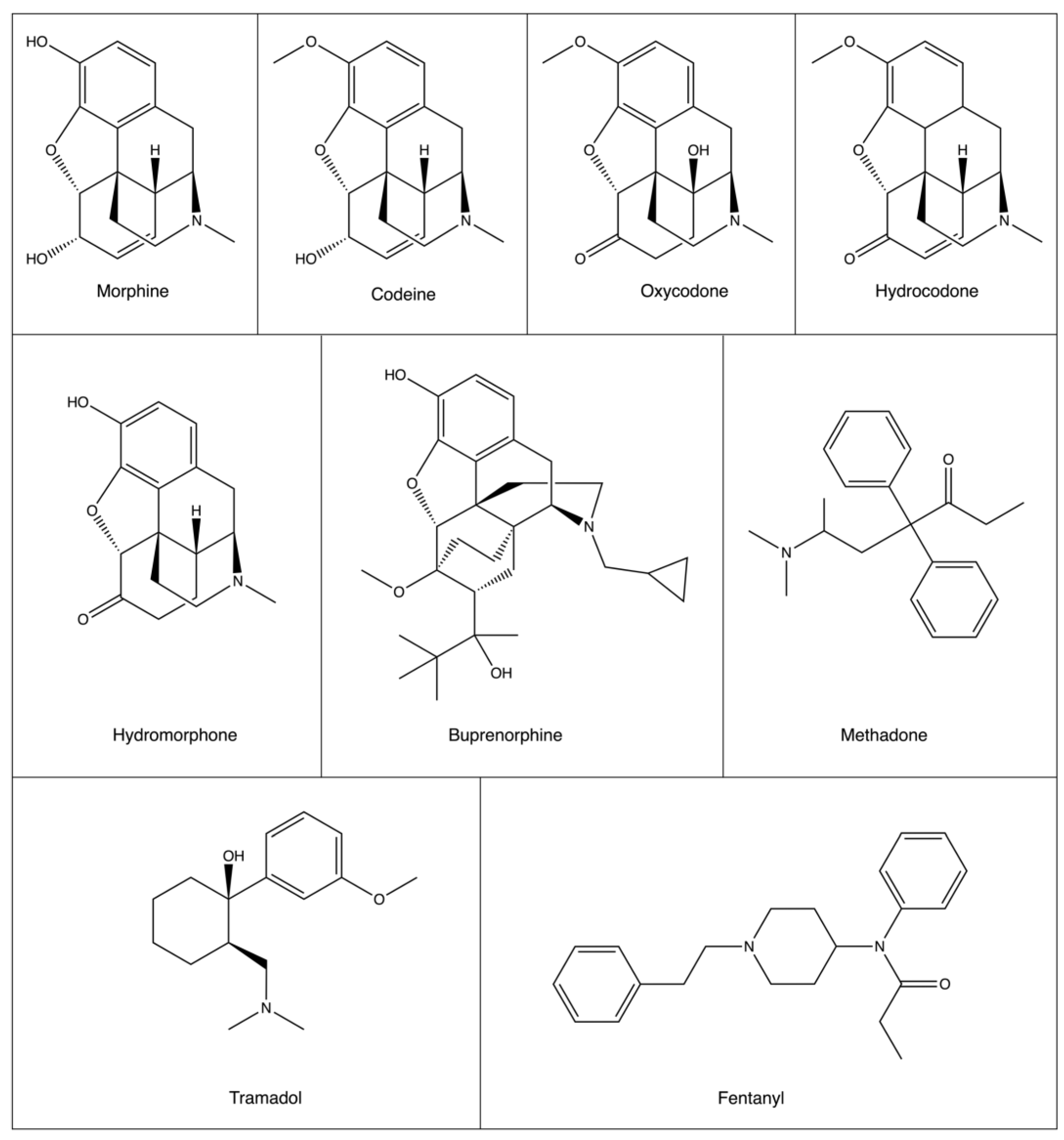 Pharmaceutics 15 02225 g001