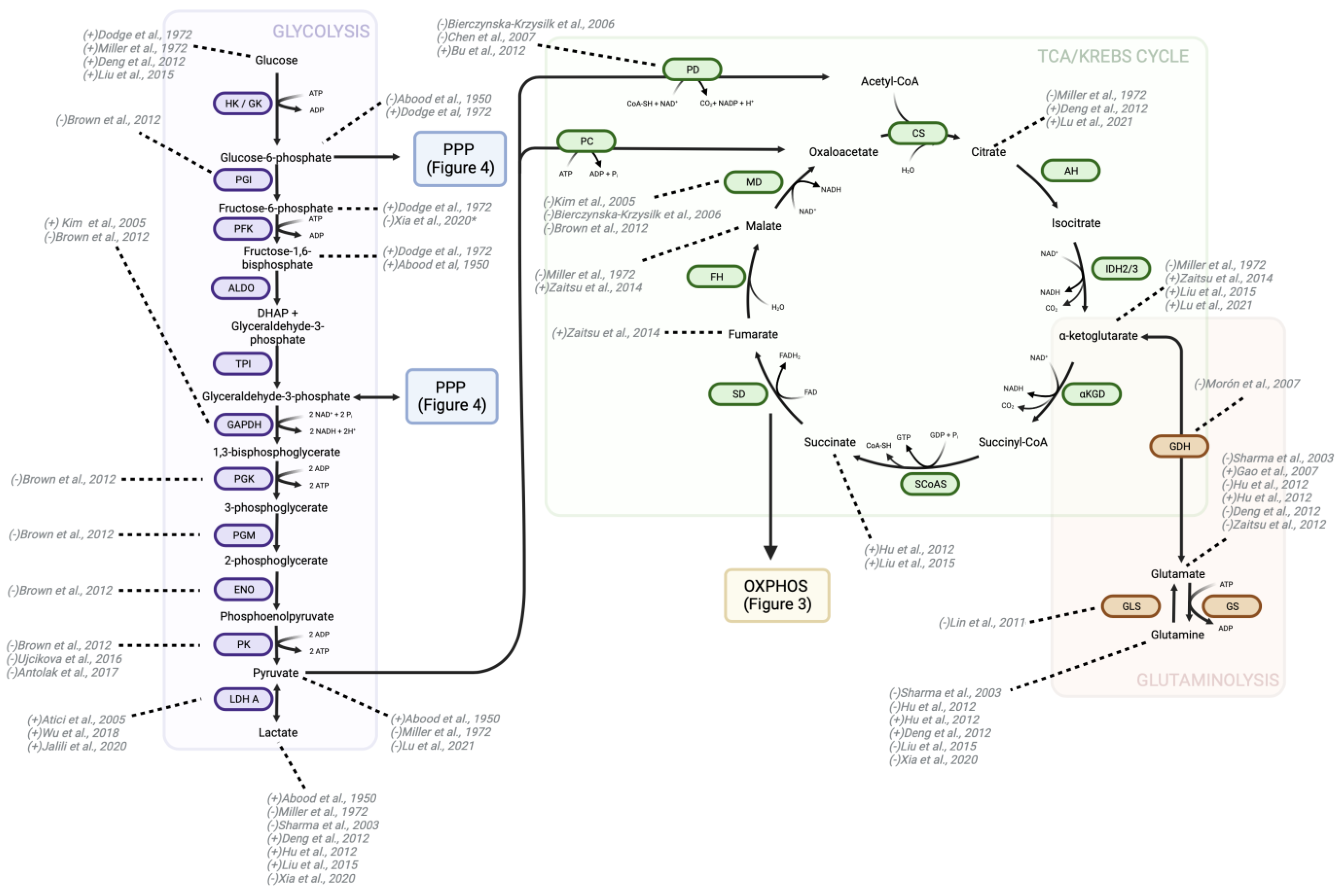 Pharmaceutics 15 02225 g002