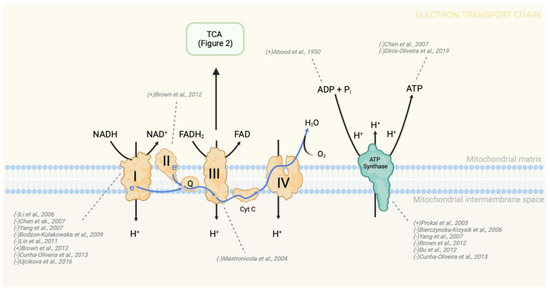 Pharmaceutics 15 02225 g003