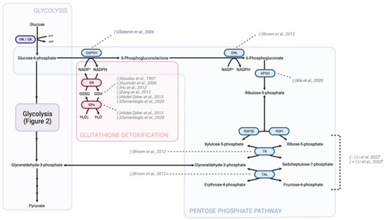 Pharmaceutics 15 02225 g004