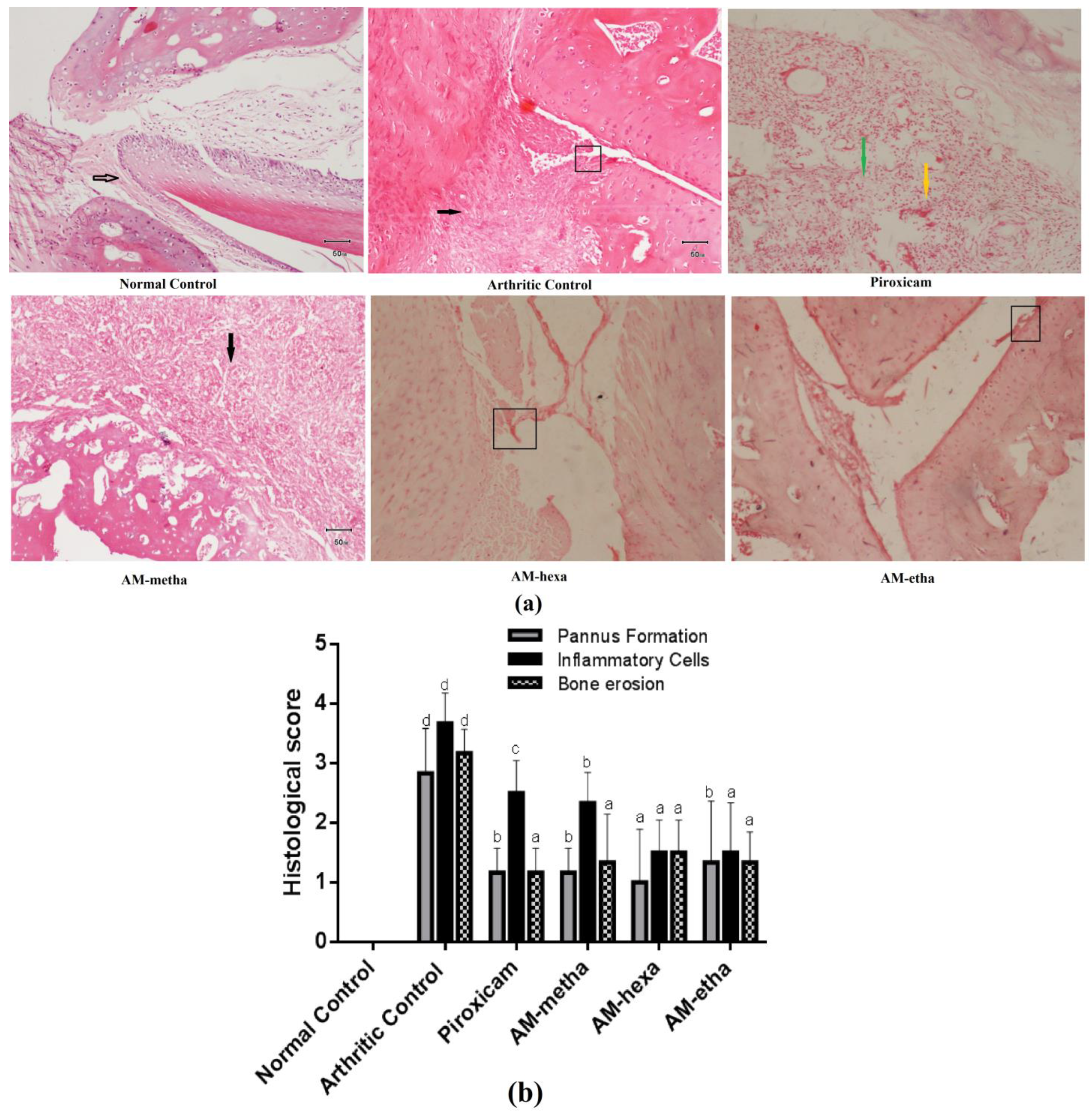 Pharmaceutics 15 02228 g002