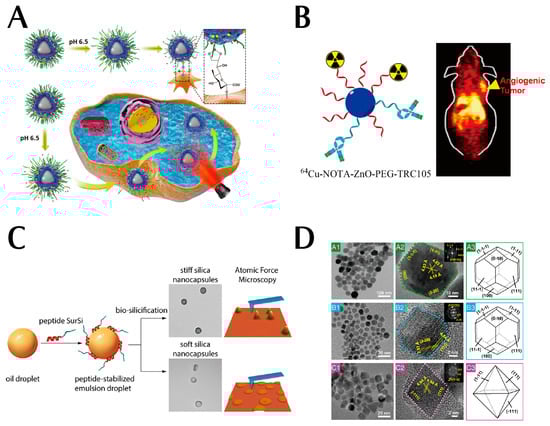 Pharmaceutics 15 02233 g004