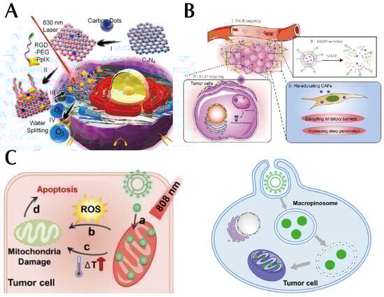 Pharmaceutics 15 02233 g006