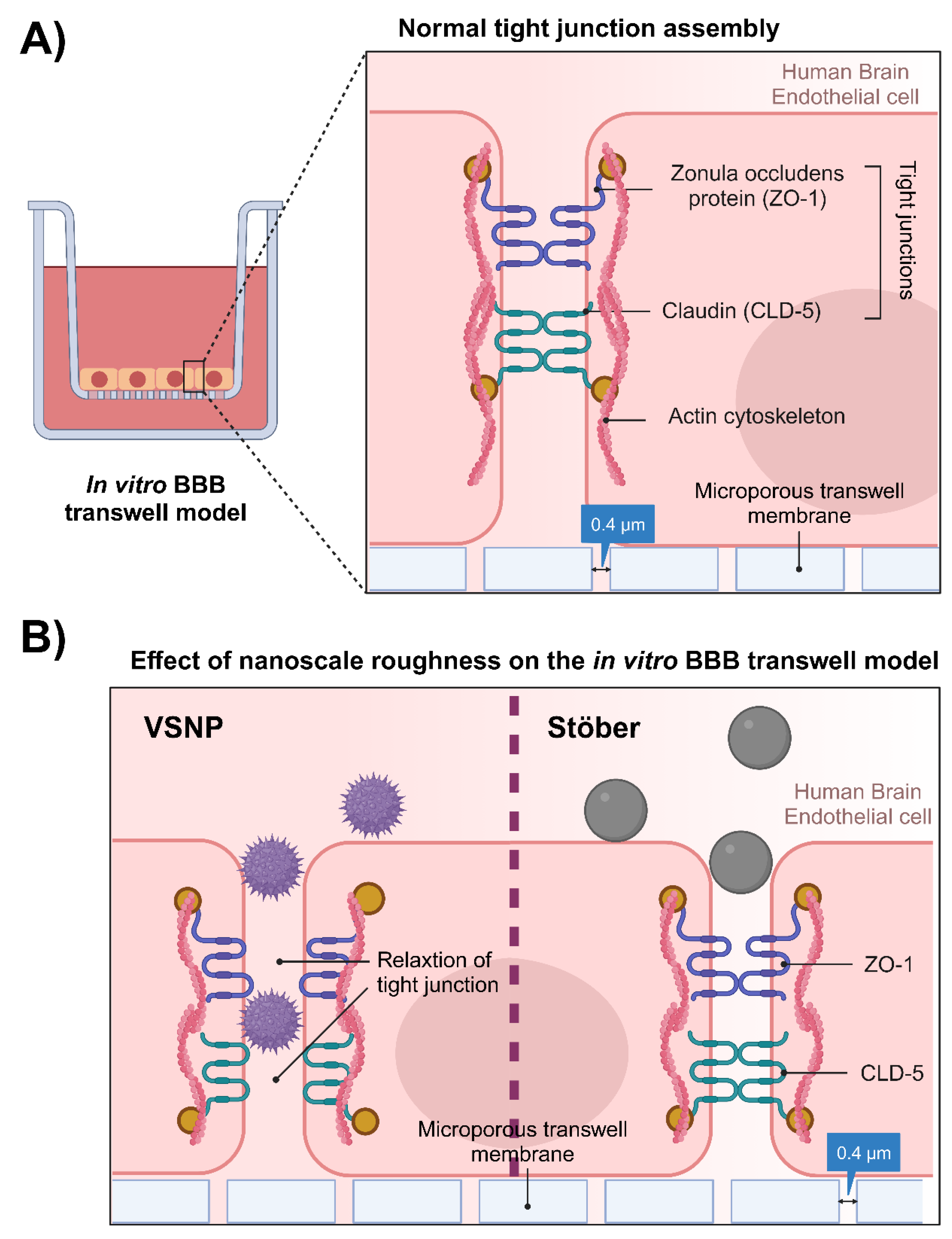 Pharmaceutics 15 02239 g001
