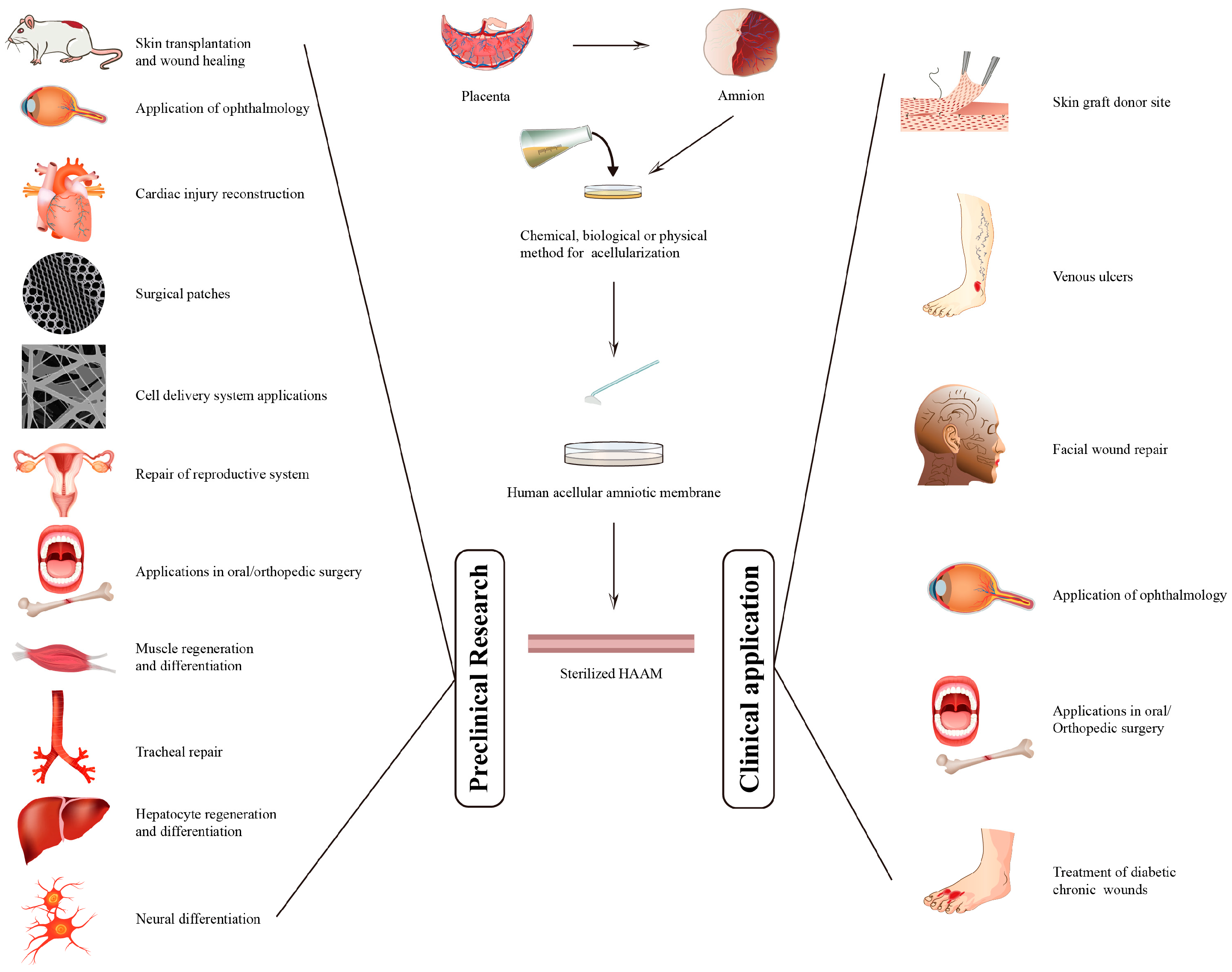 Pharmaceutics 15 02249 g001 Pharmaceutics 15 02249 g001