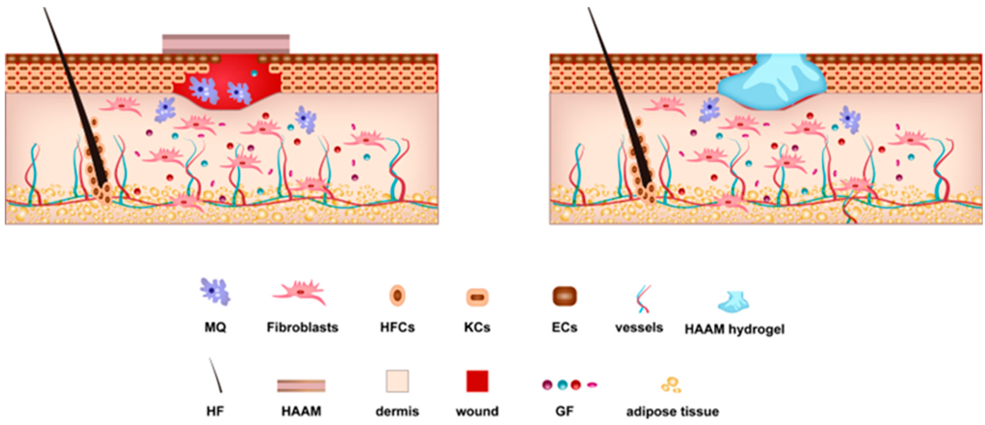 Pharmaceutics 15 02249 g002 Pharmaceutics 15 02249 g002