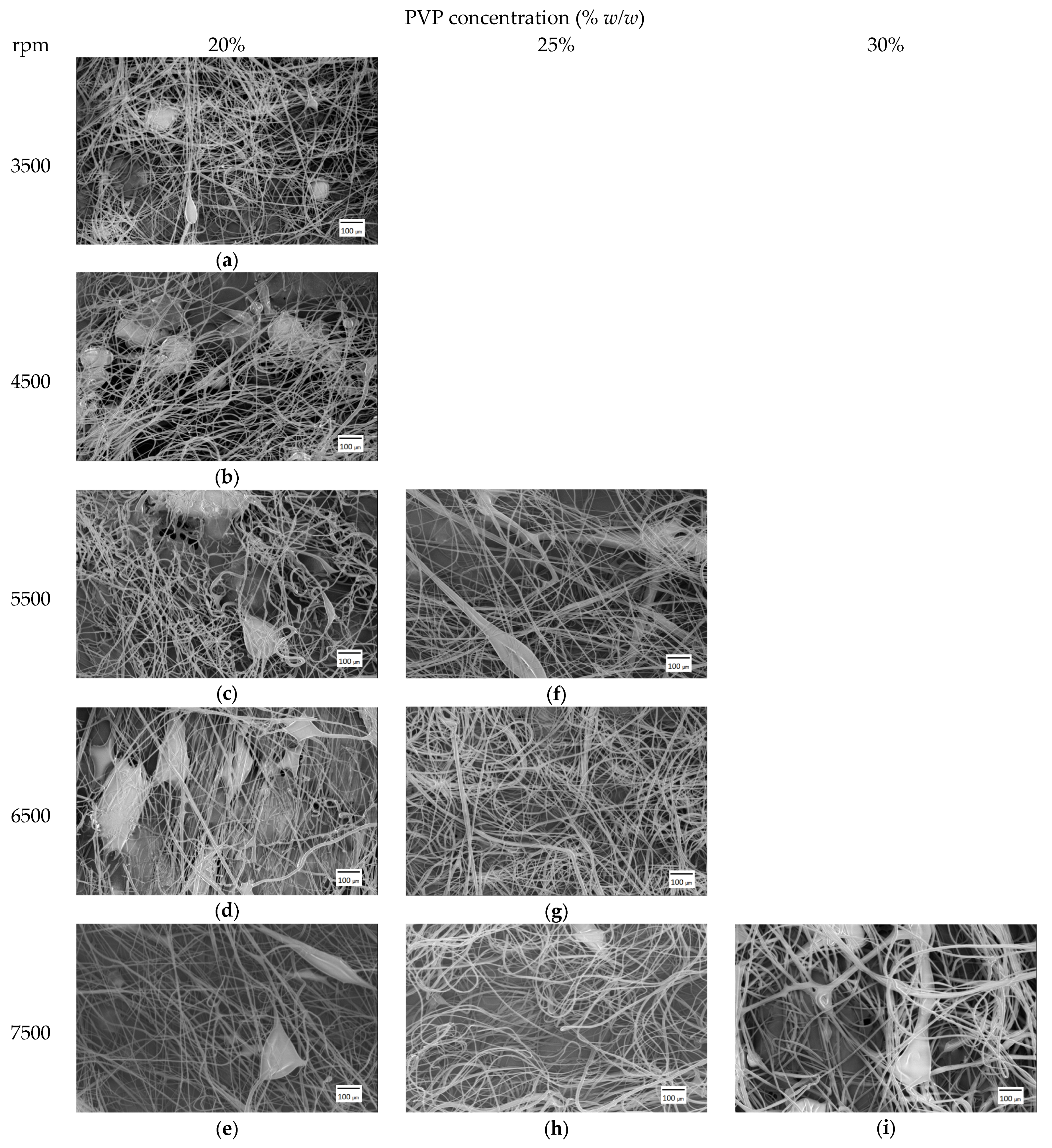 Pharmaceutics 15 02256 g003
