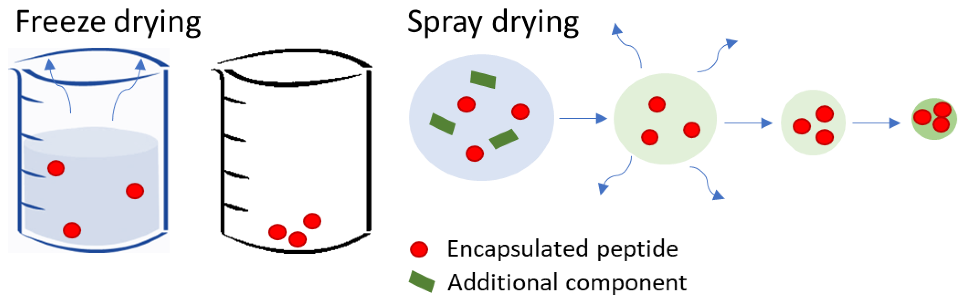 Pharmaceutics 15 02265 g002