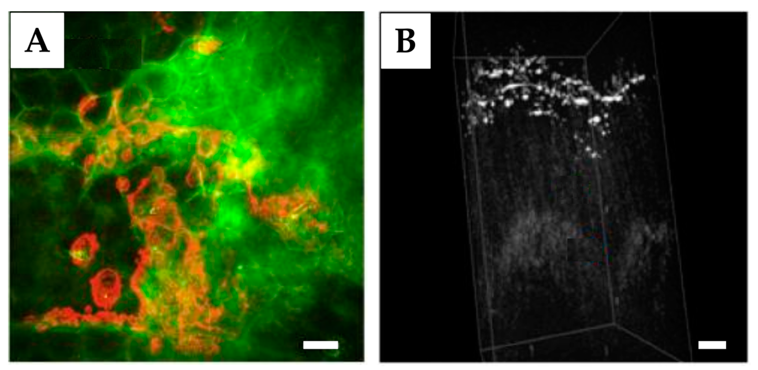 Pharmaceutics 15 02272 g008