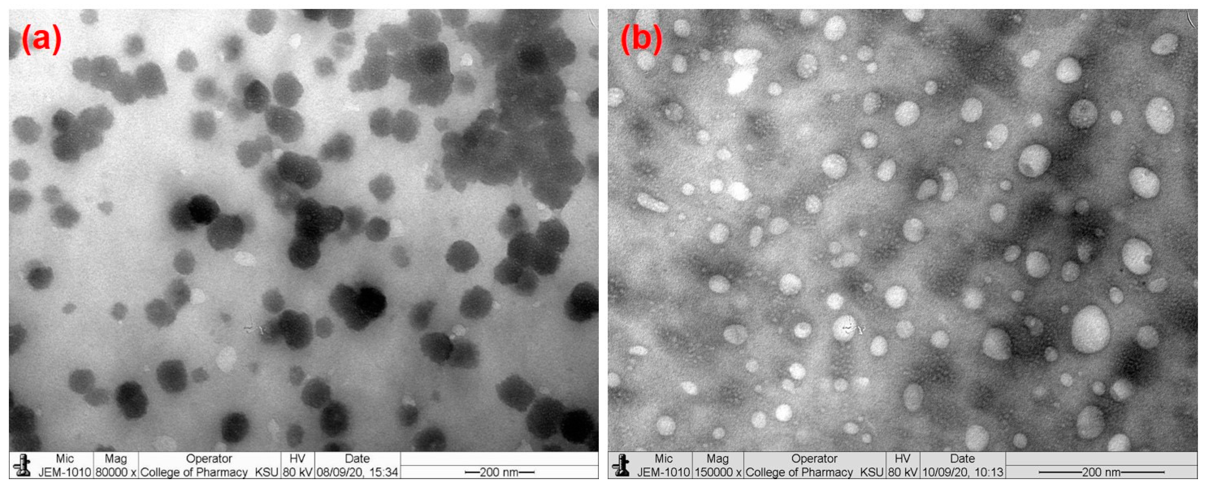 Pharmaceutics 15 02273 g001