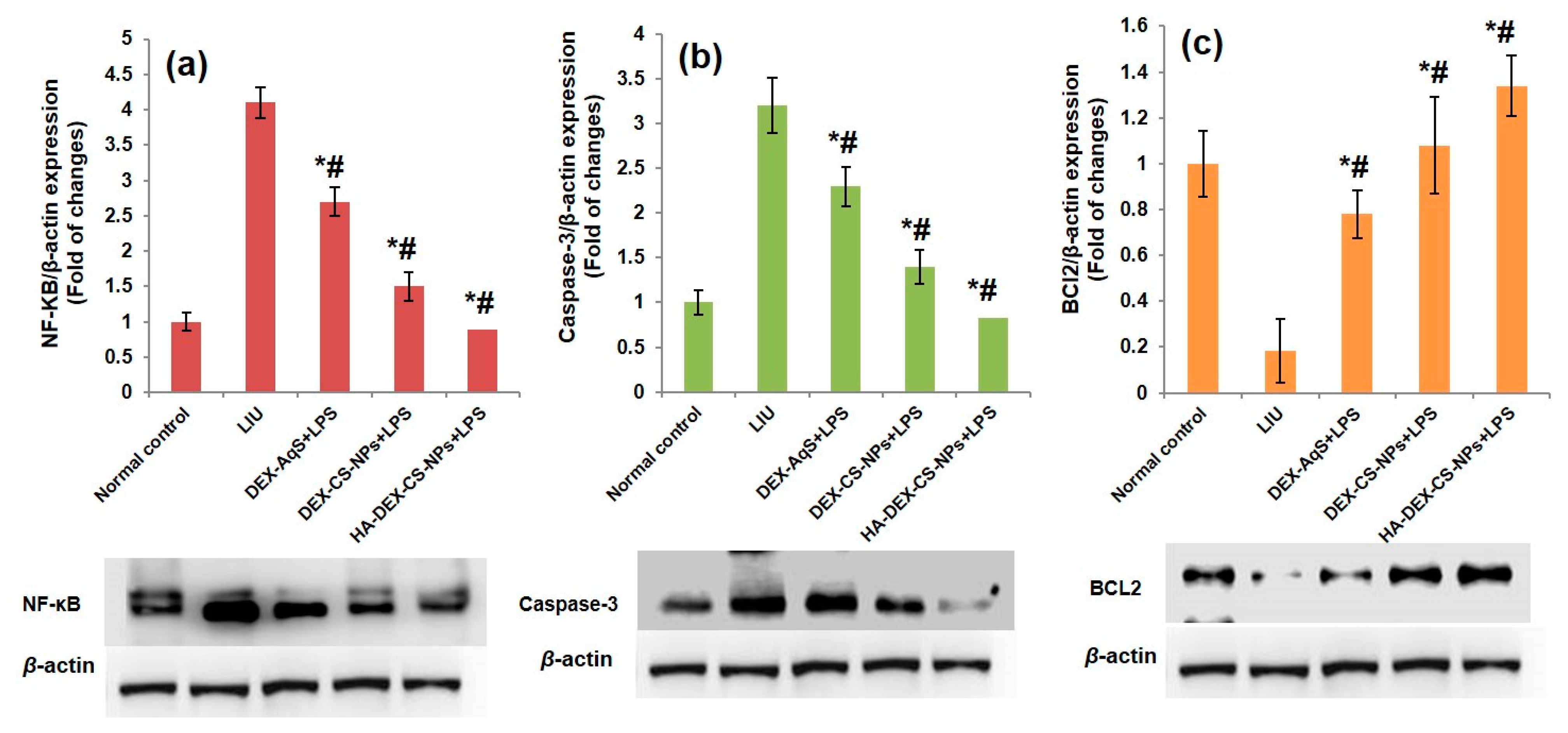 Pharmaceutics 15 02273 g007