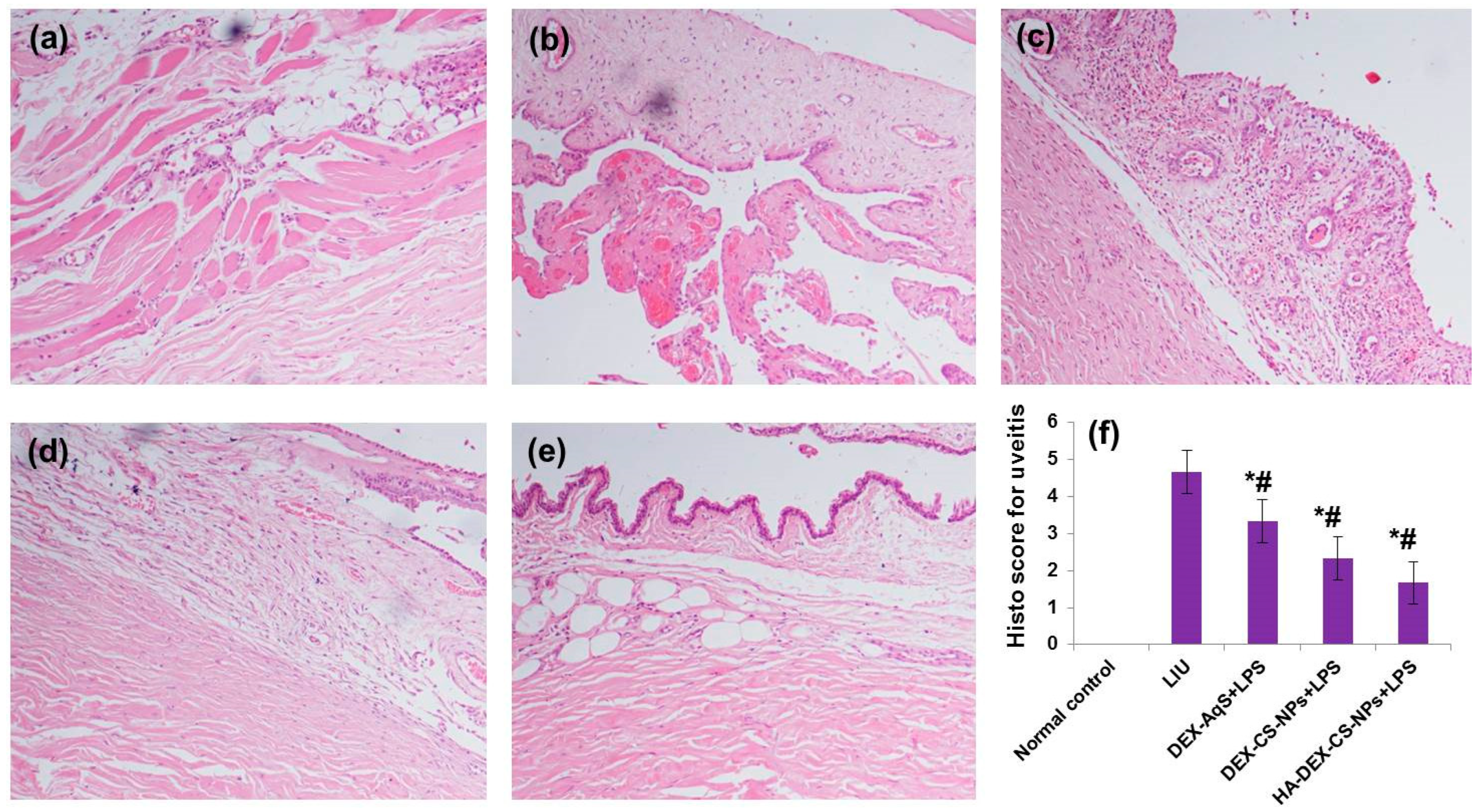 Pharmaceutics 15 02273 g008