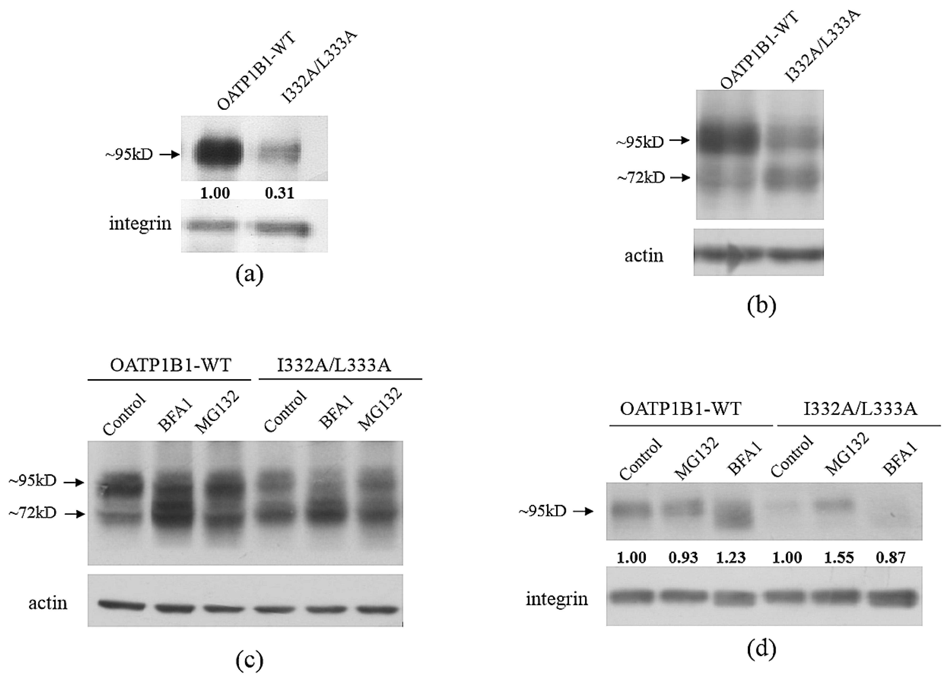 Pharmaceutics 15 02279 g004 Pharmaceutics 15 02279 g004