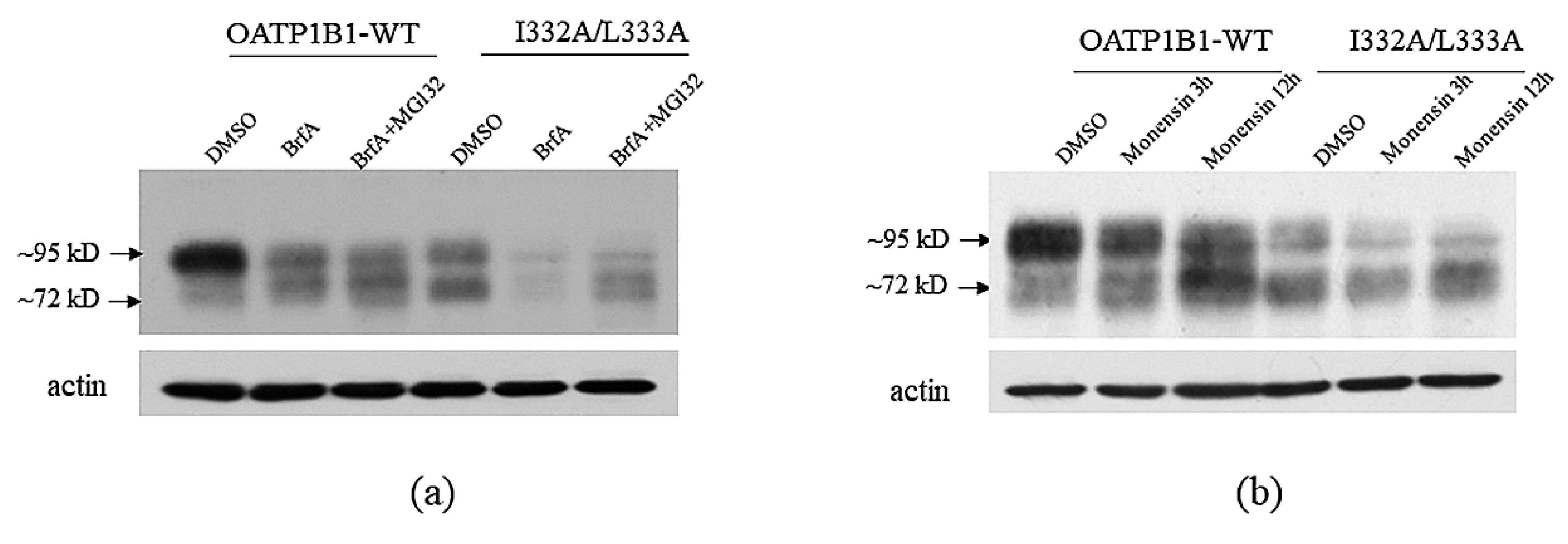 Pharmaceutics 15 02279 g005 Pharmaceutics 15 02279 g005