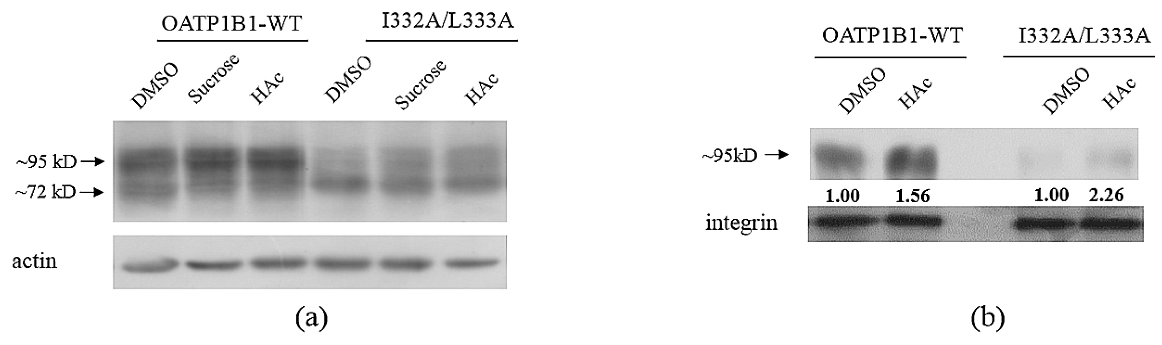 Pharmaceutics 15 02279 g006 Pharmaceutics 15 02279 g006