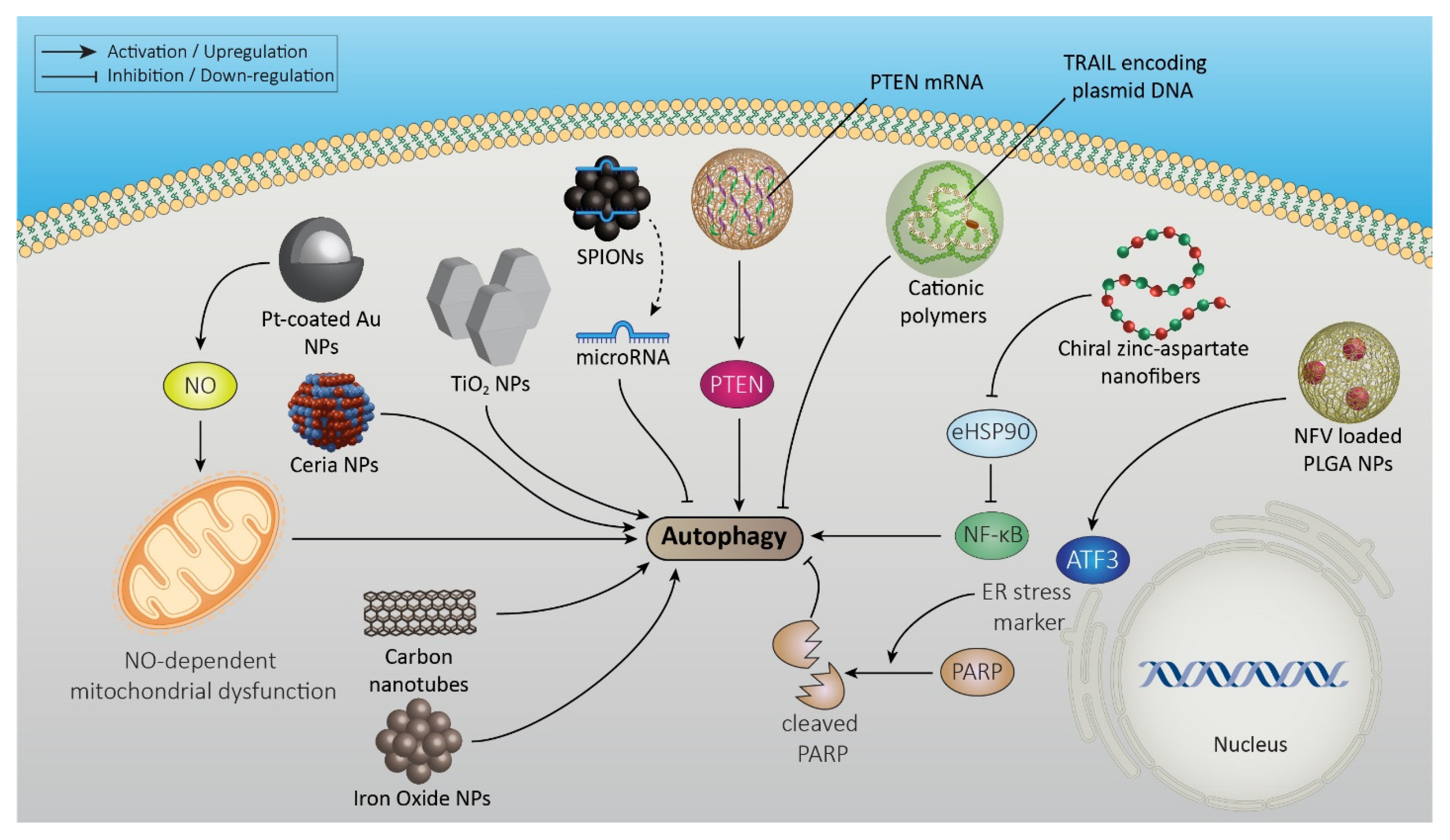 Pharmaceutics 15 02284 g003