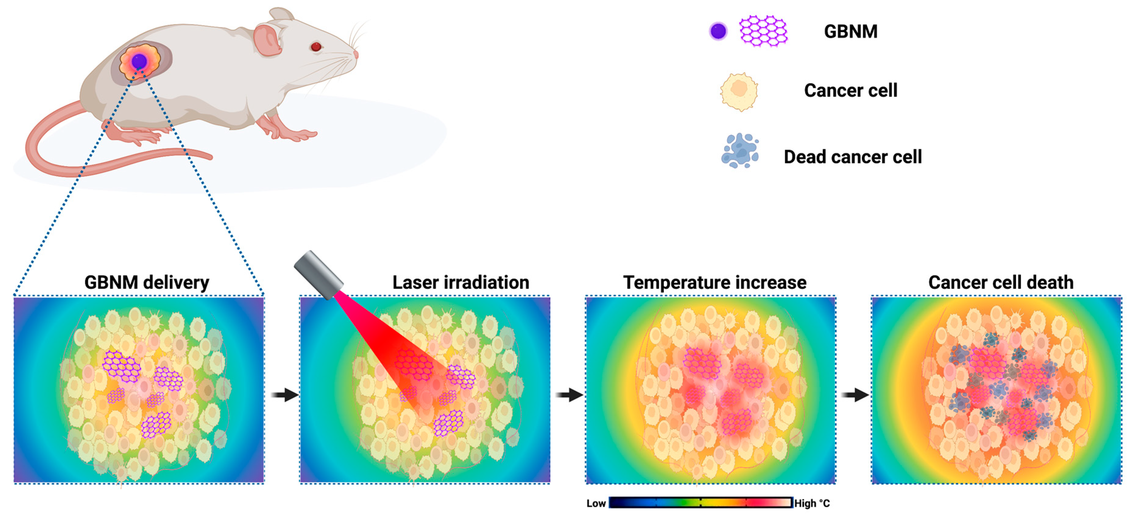 Pharmaceutics 15 02286 g001