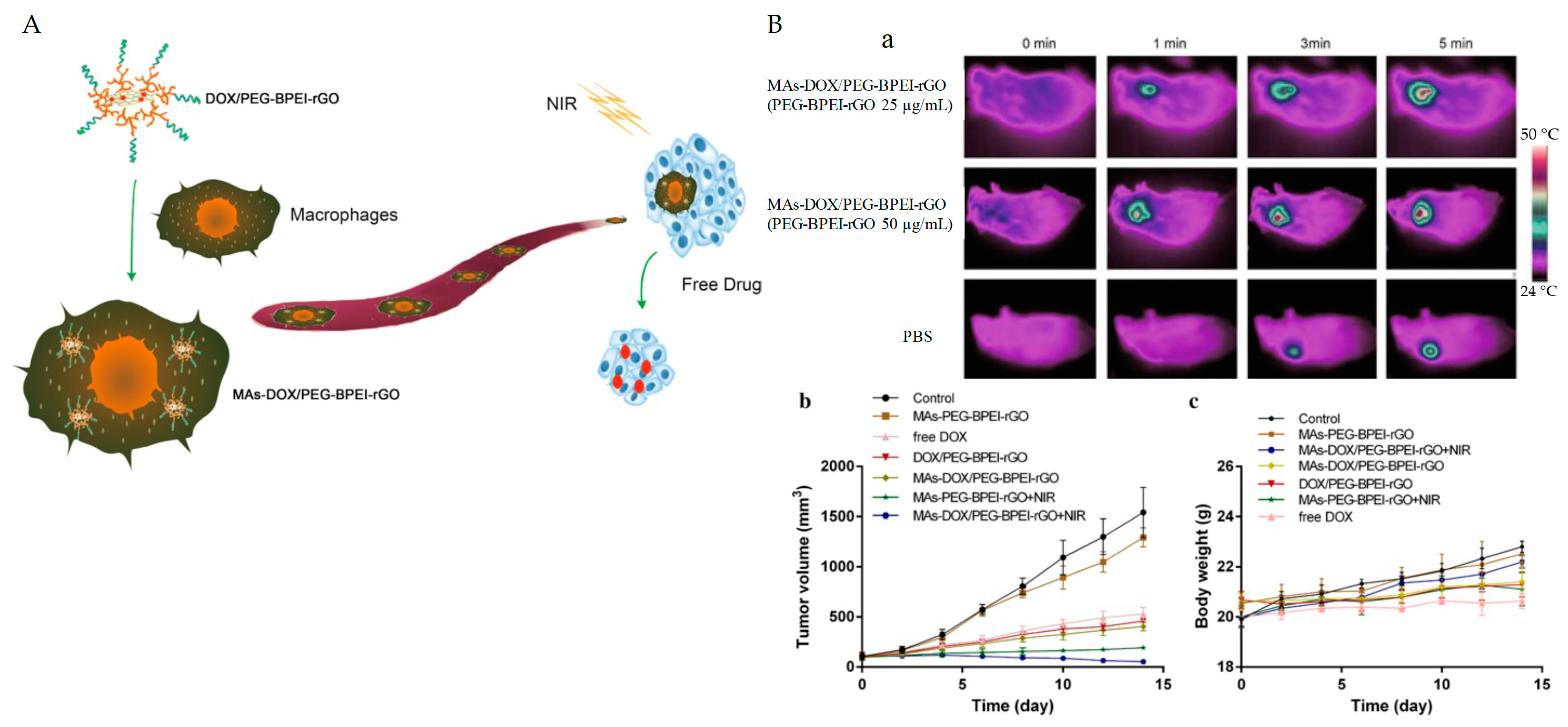 Pharmaceutics 15 02286 g006