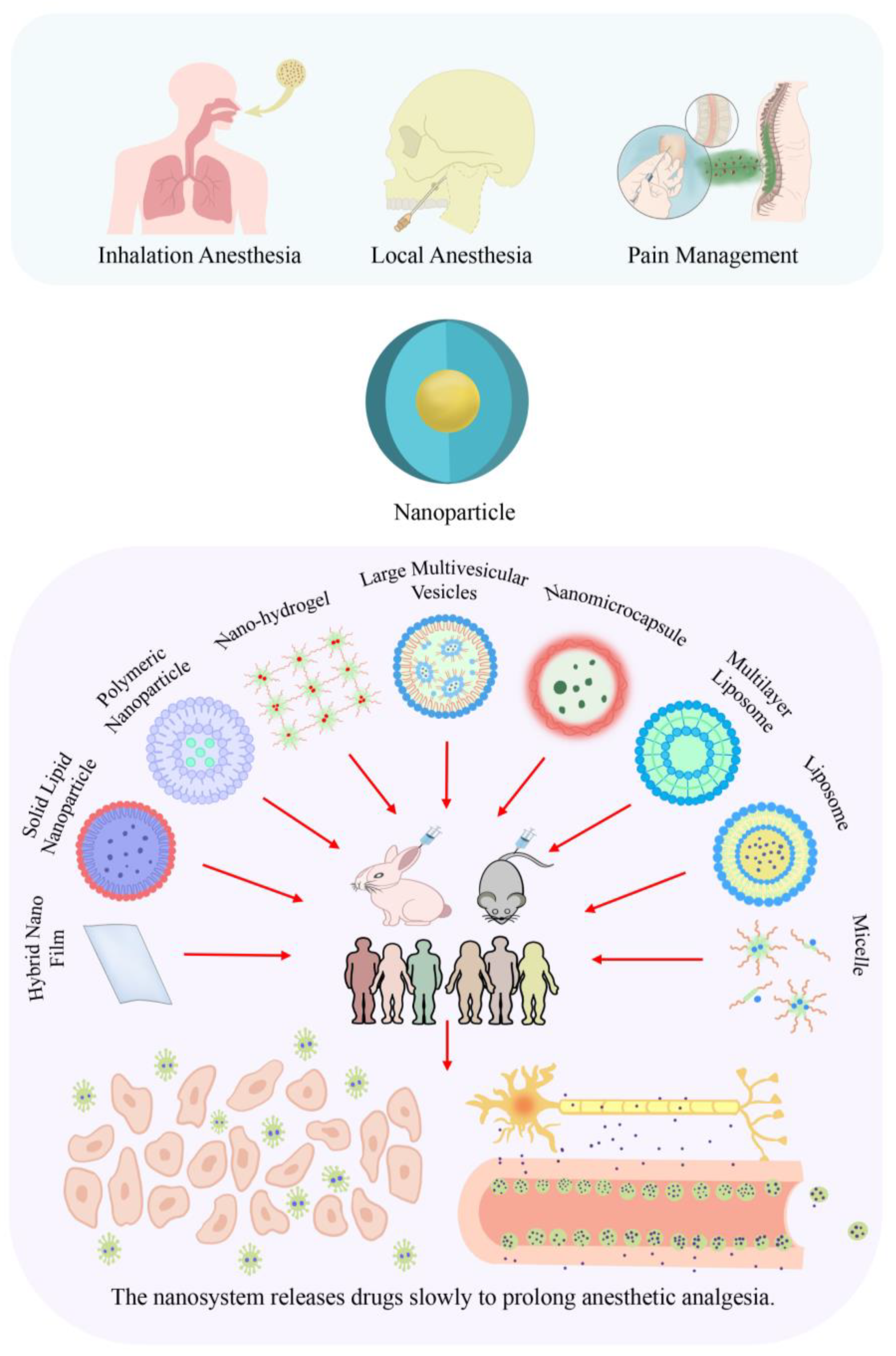 Pharmaceutics 15 02289 g001