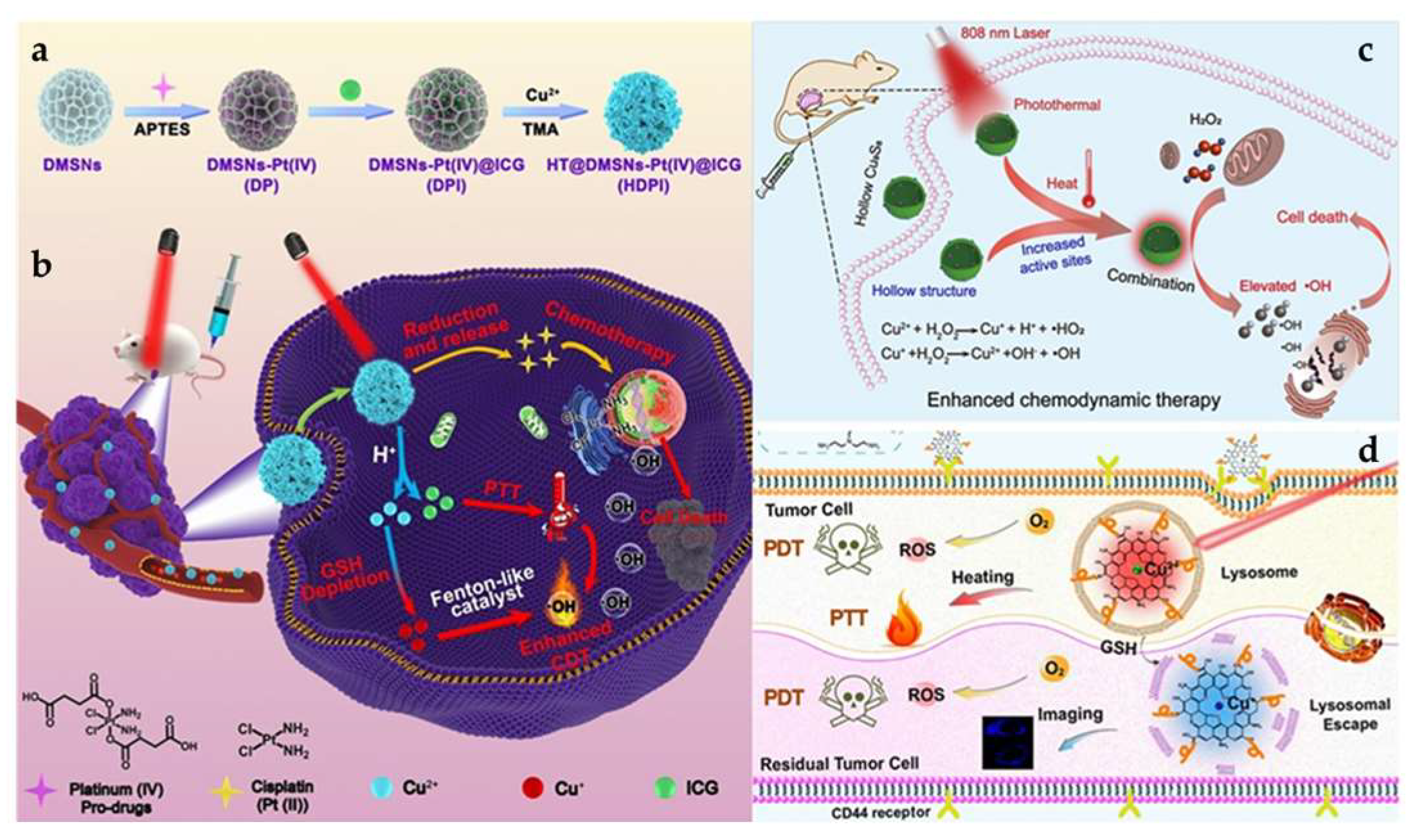 Pharmaceutics 15 02293 g007